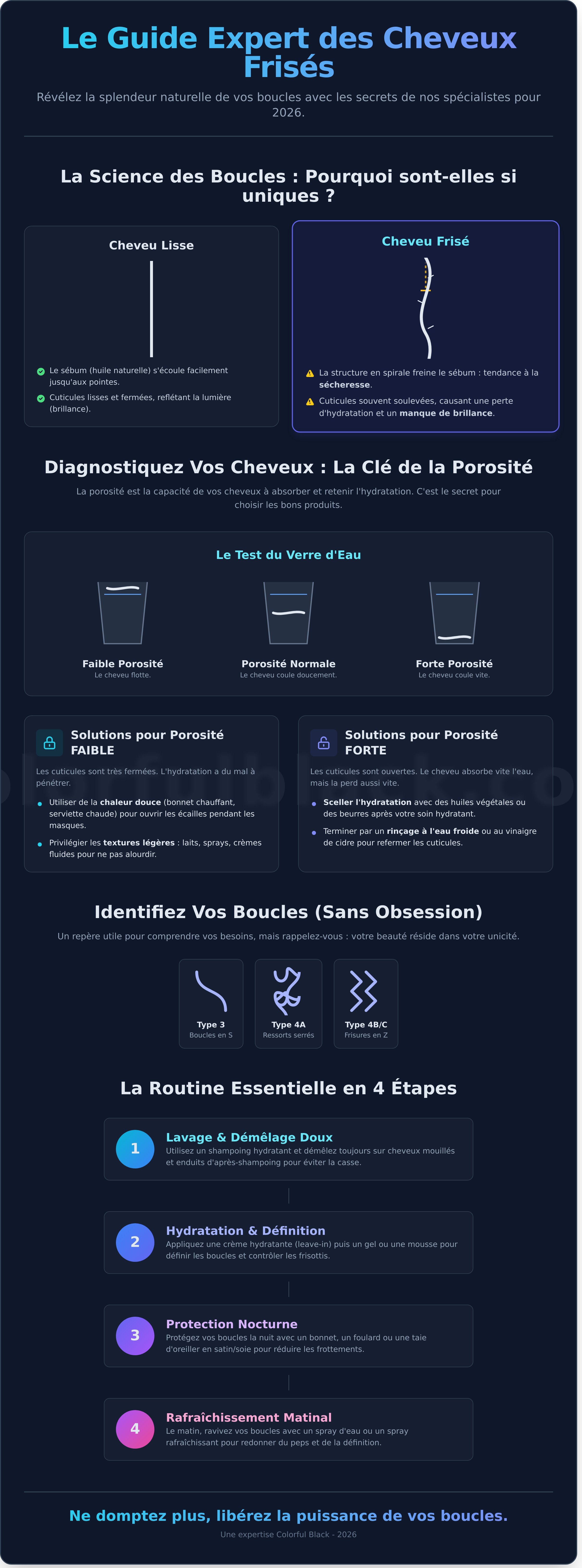 Cheveux frisés femme infographic - visual guide