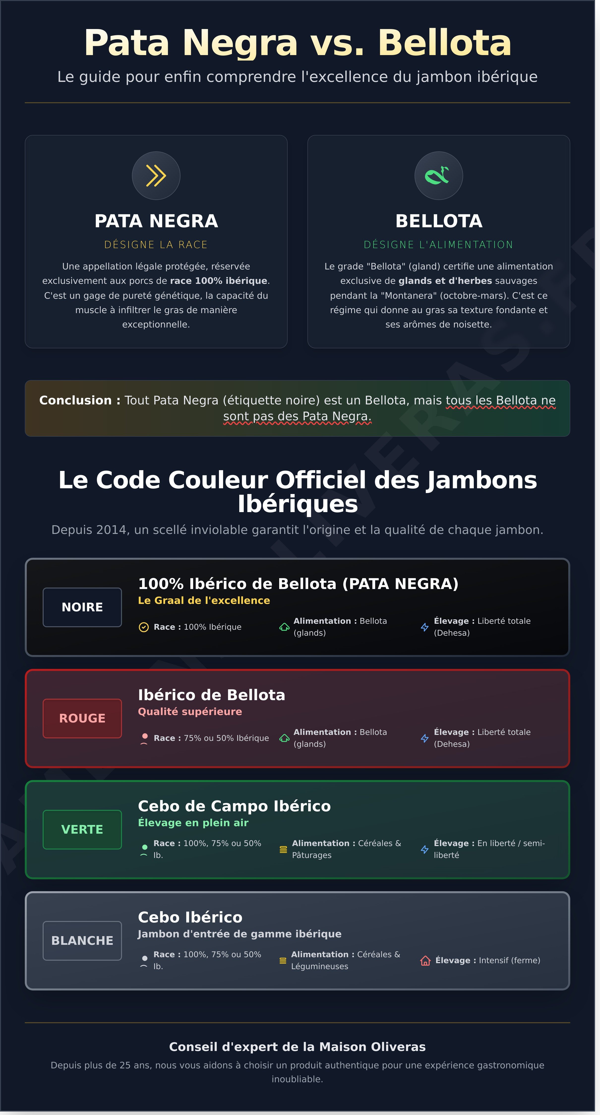 Pata negra vs bellota infographic - visual guide