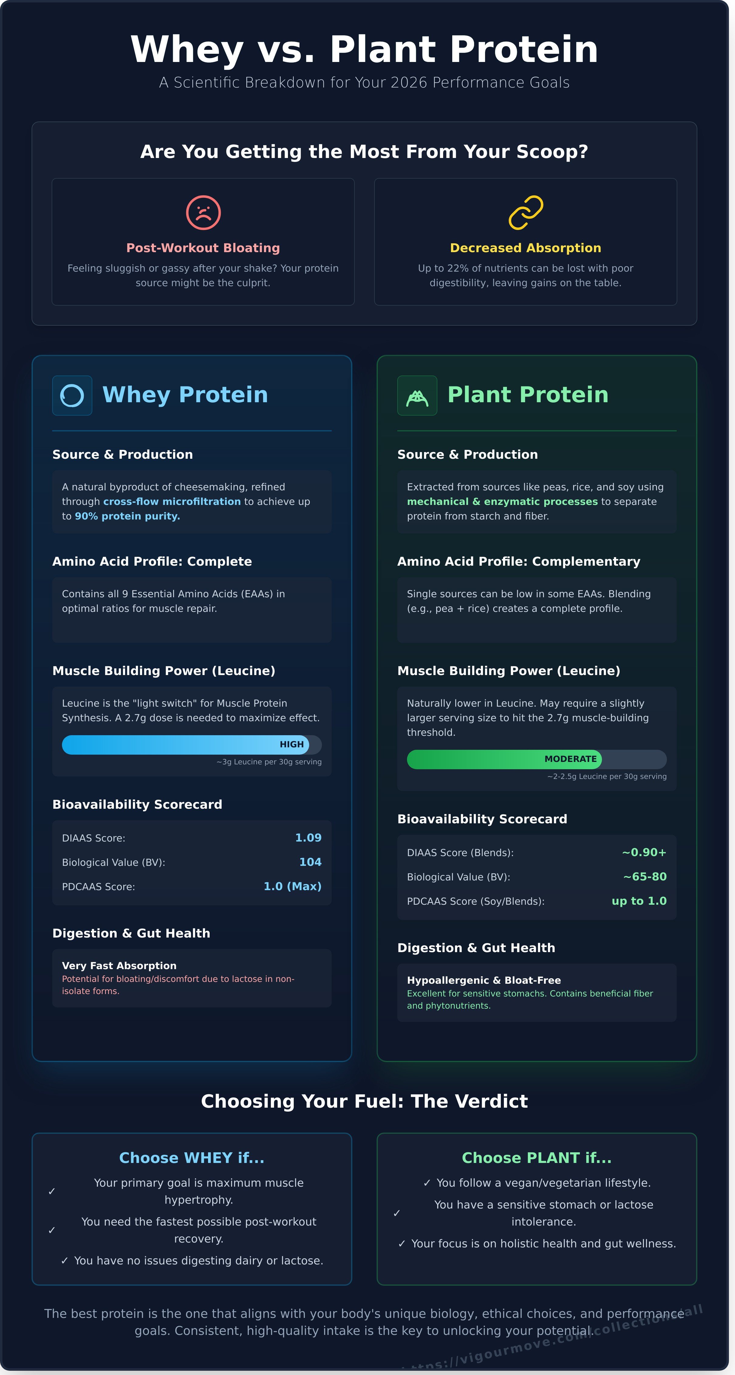 Whey protein vs plant protein