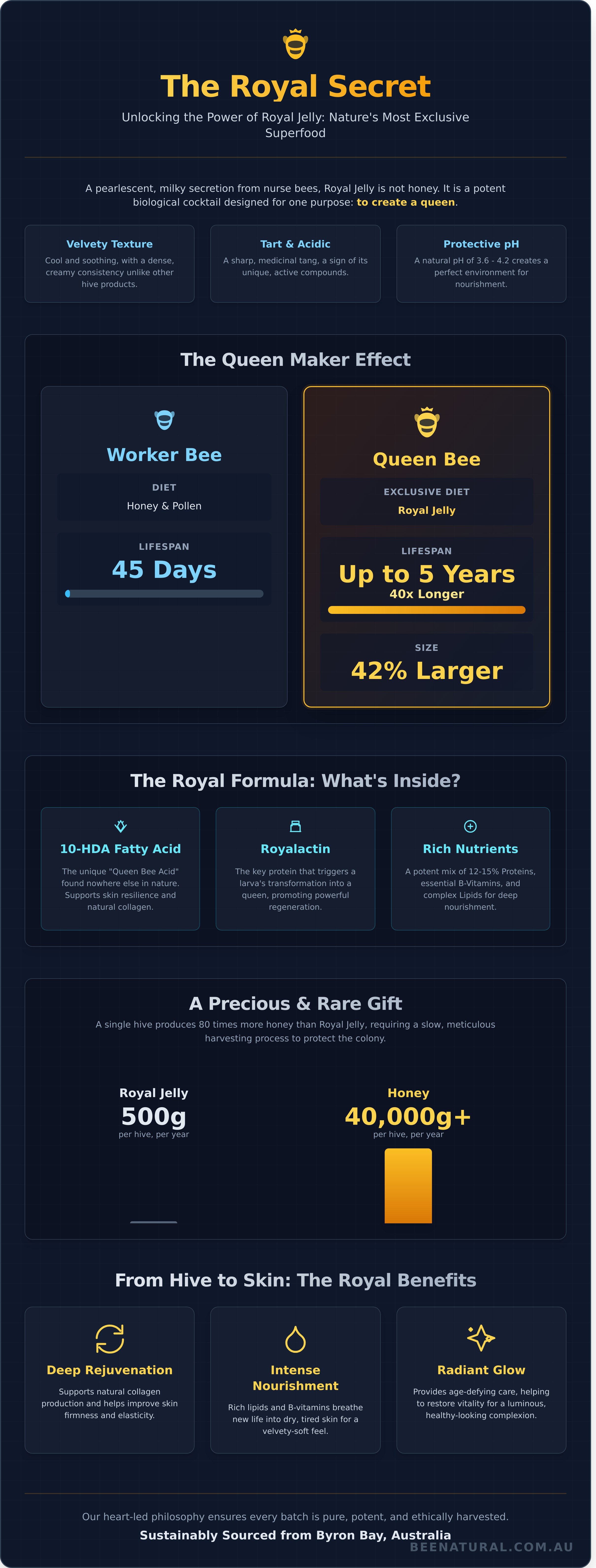 Royal jelly infographic - visual guide