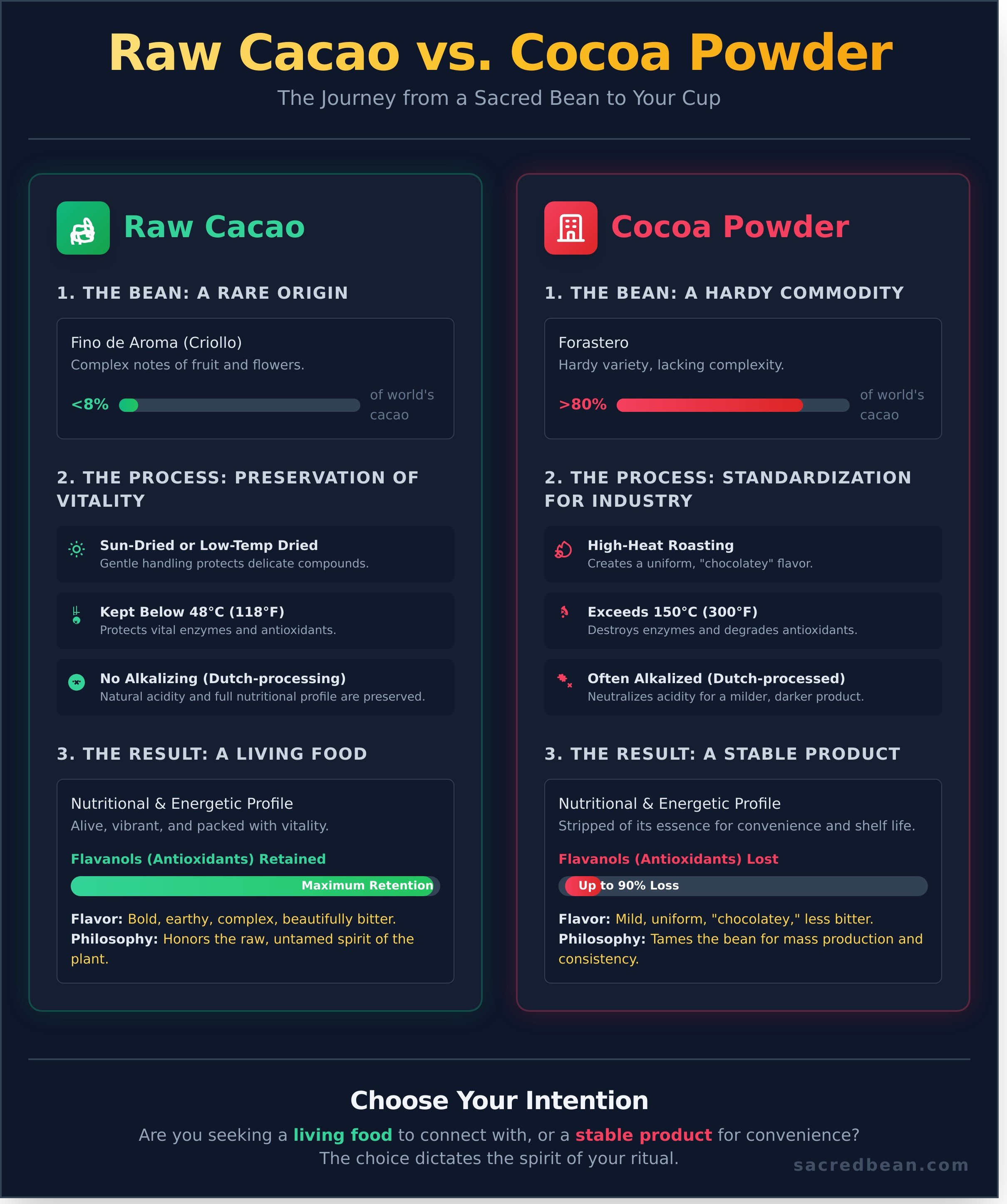 Raw cacao powder vs cocoa powder infographic - visual guide