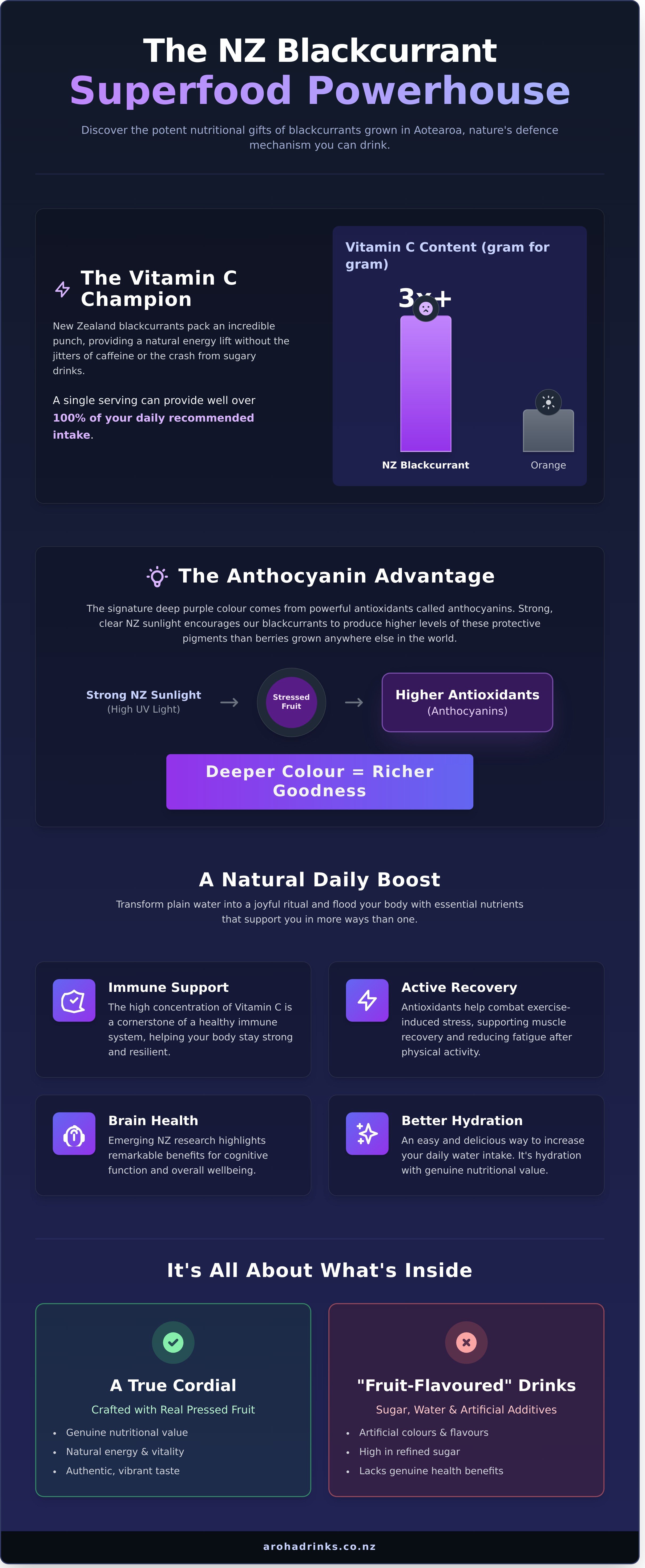Blackcurrant cordial nz infographic - visual guide