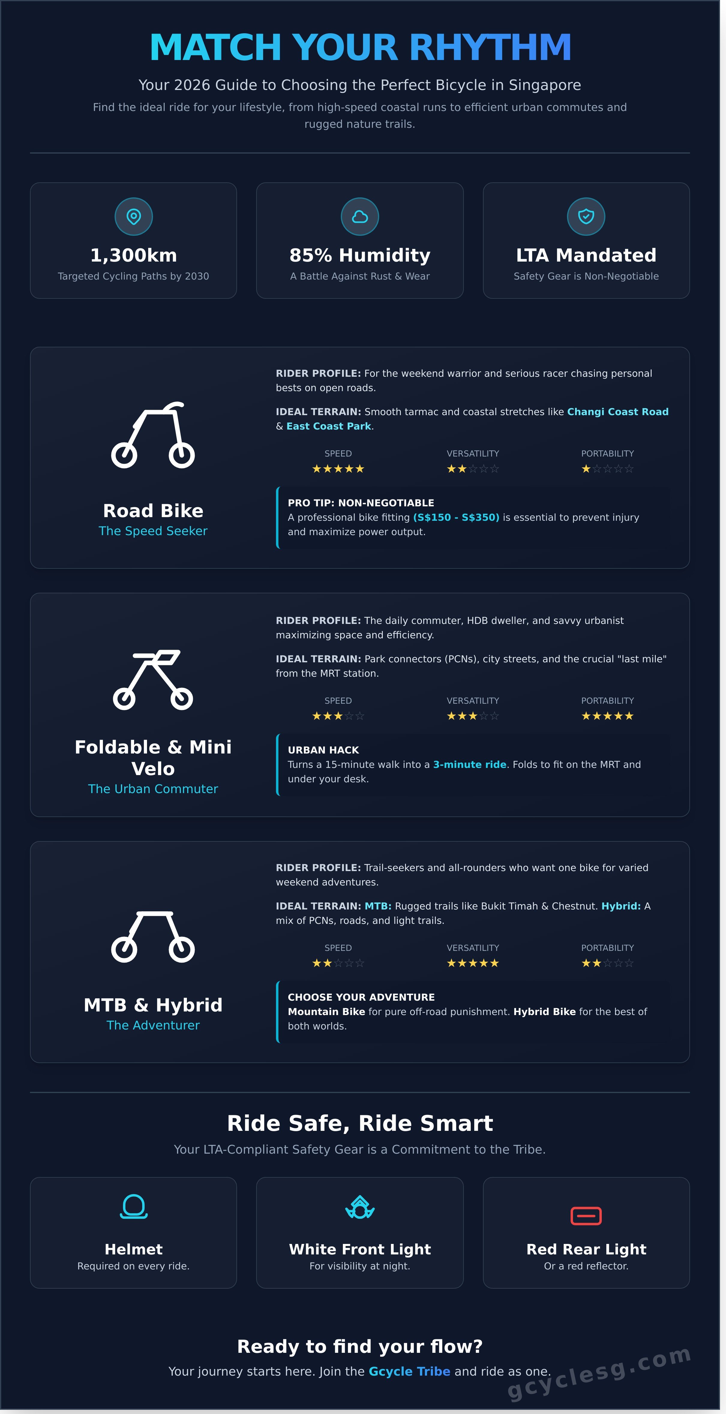 Bicycle singapore infographic - visual guide