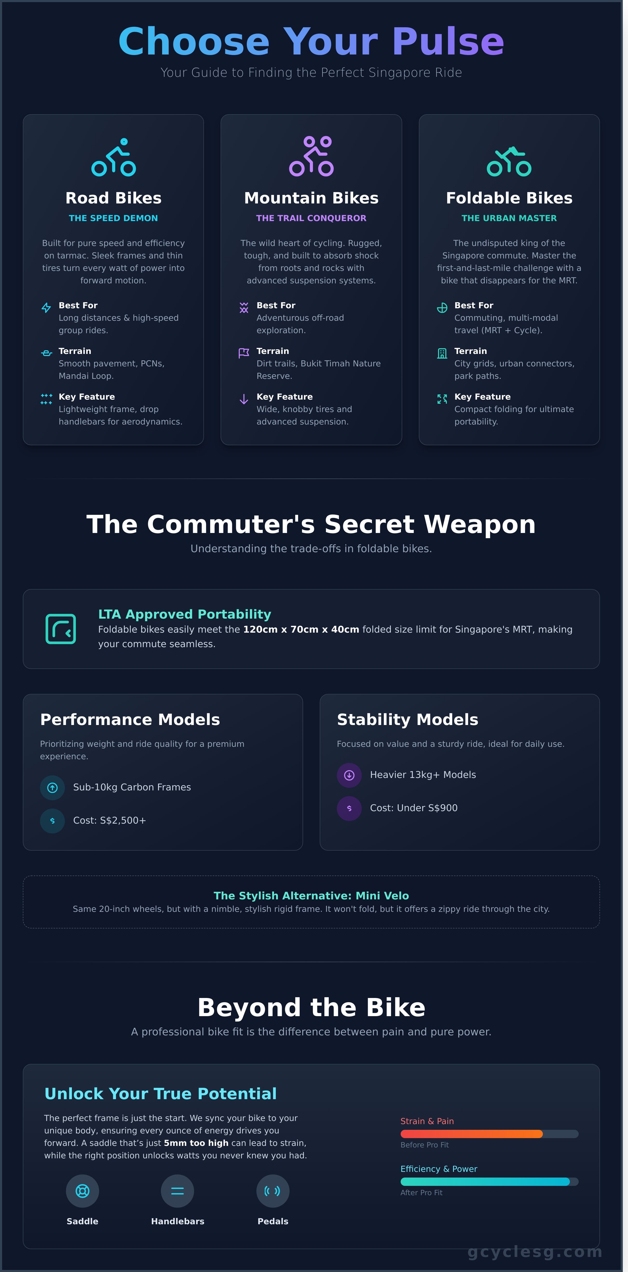 Cycle infographic - visual guide