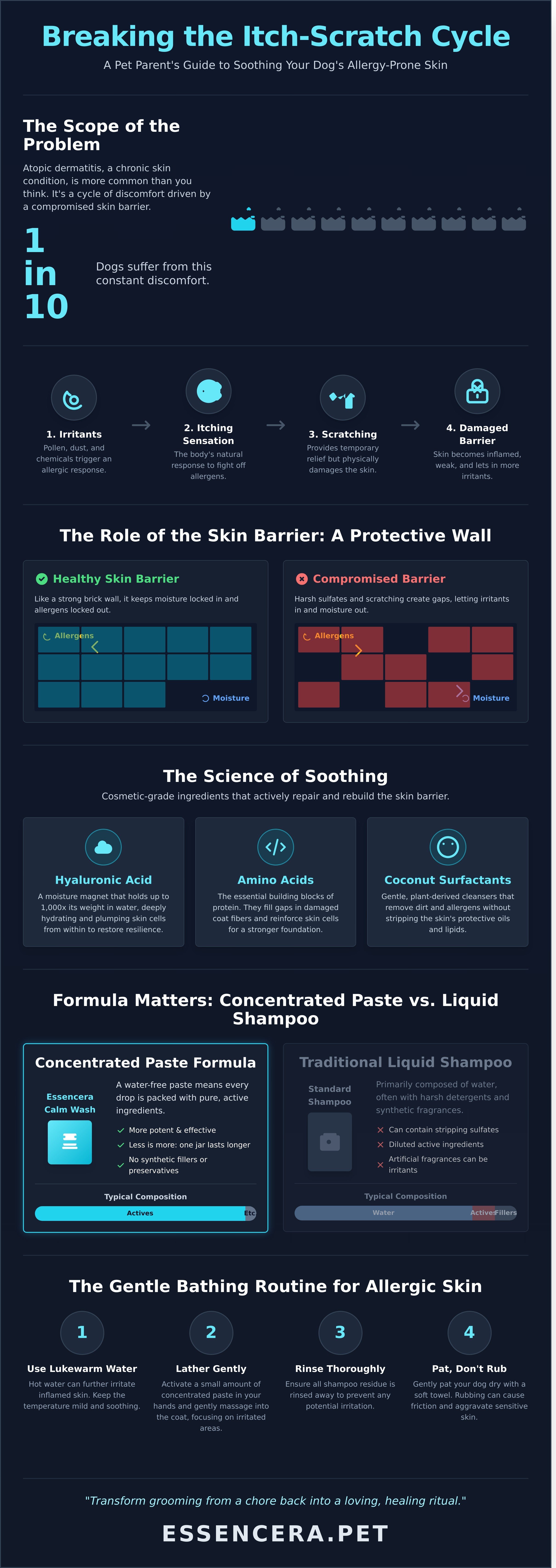 Soothing dog shampoo for allergies infographic - visual guide