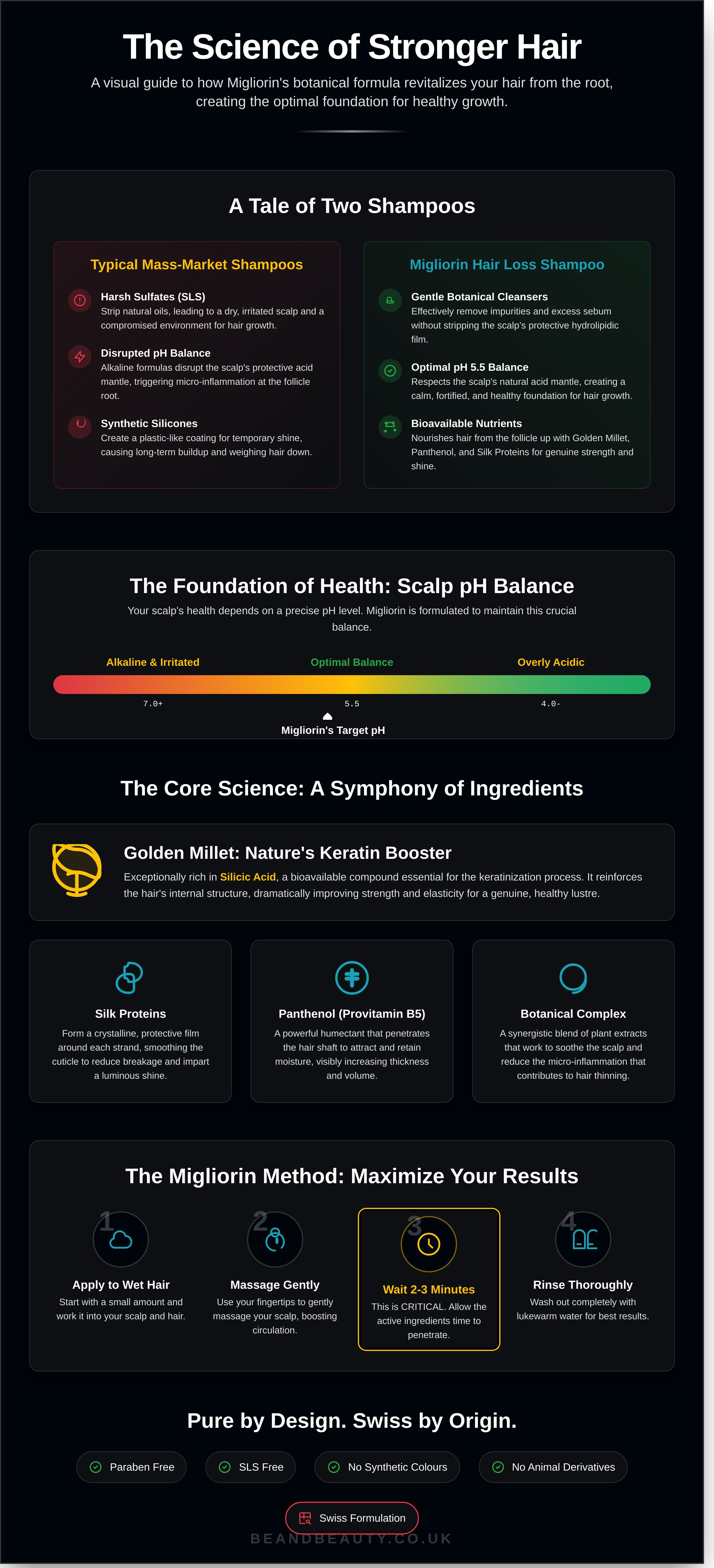 Migliorin hair loss shampoo infographic - visual guide