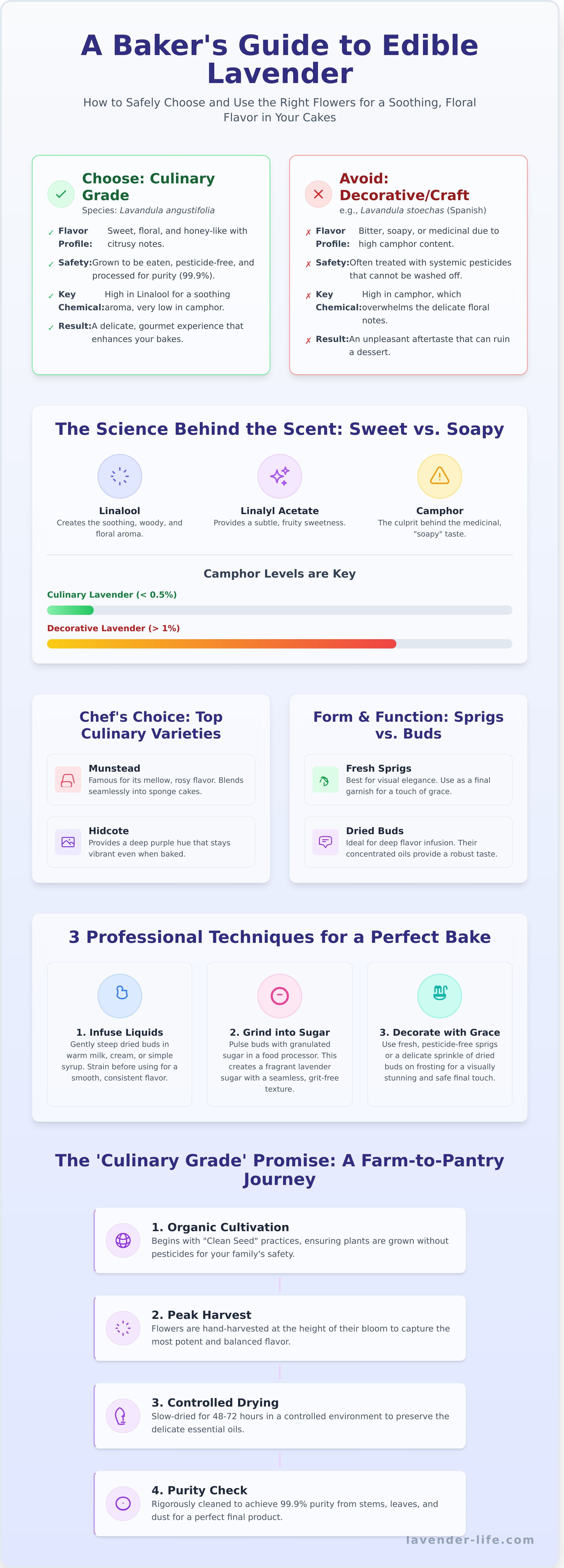 Edible lavender flowers for cakes infographic - visual guide