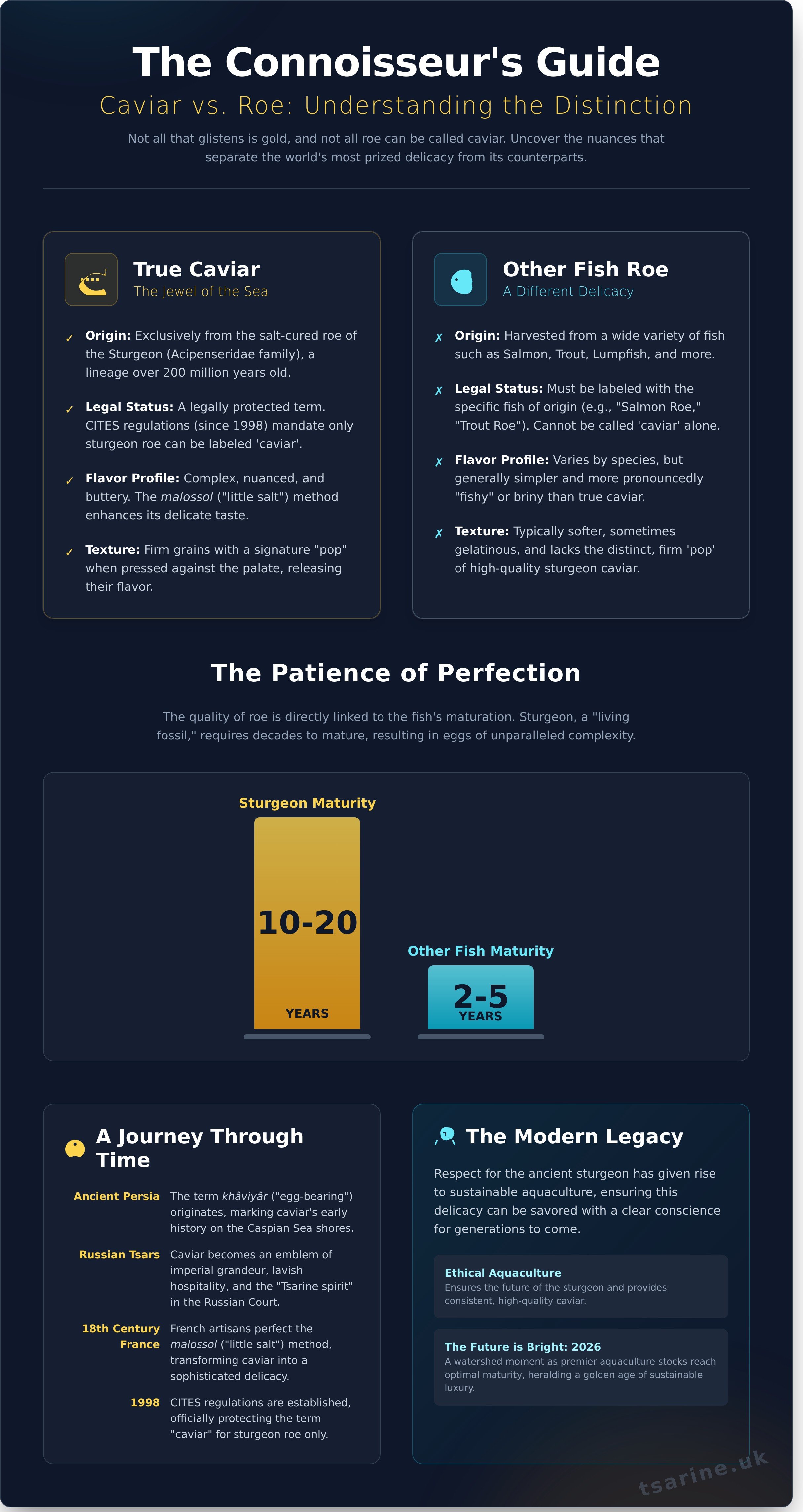 What is caviar infographic - visual guide