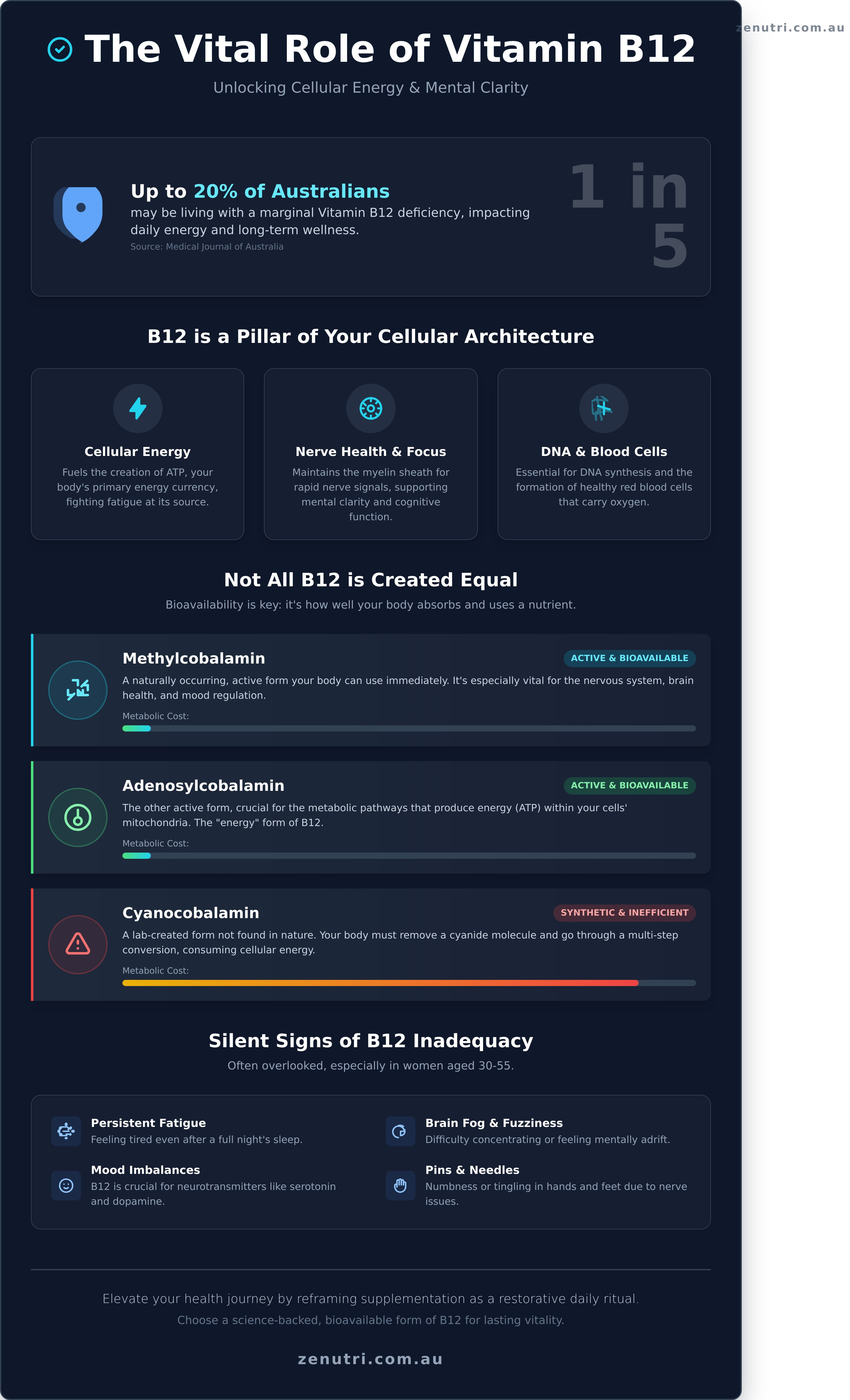 Vitamin b12 infographic - visual guide