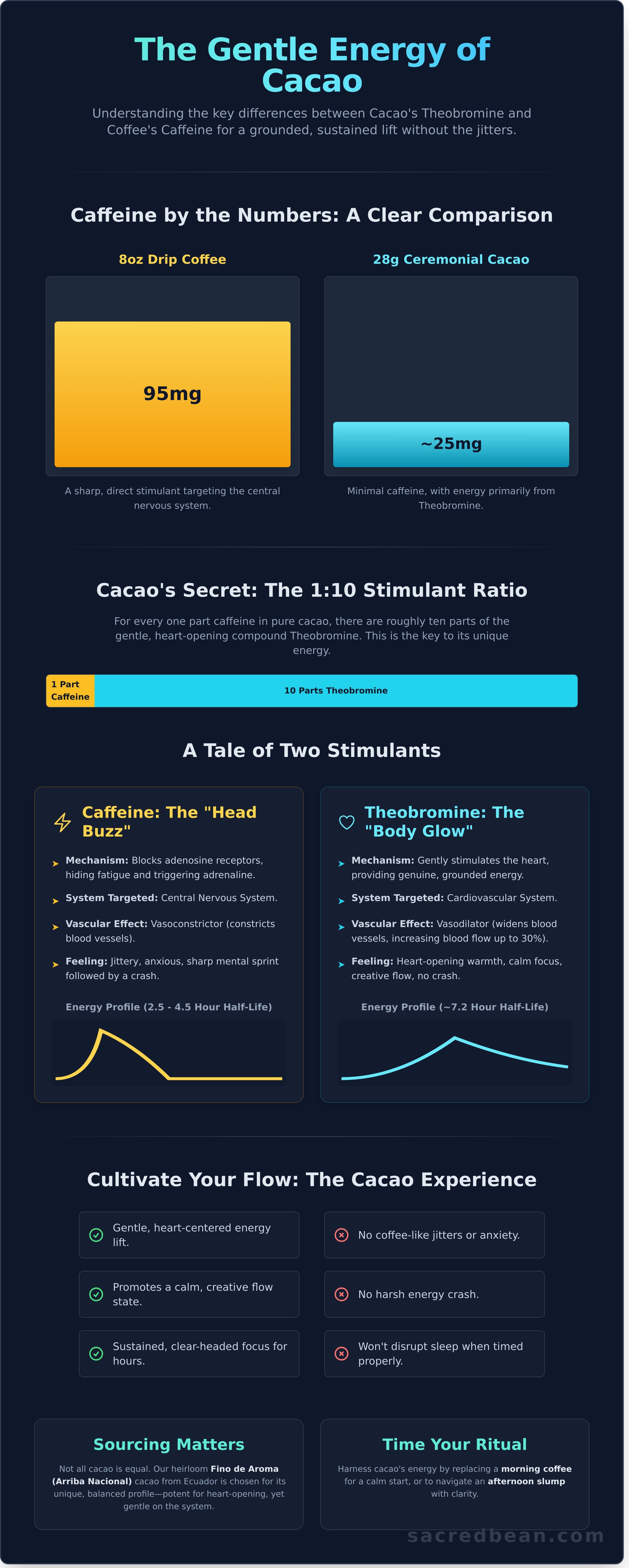 Does cacao have caffeine infographic - visual guide