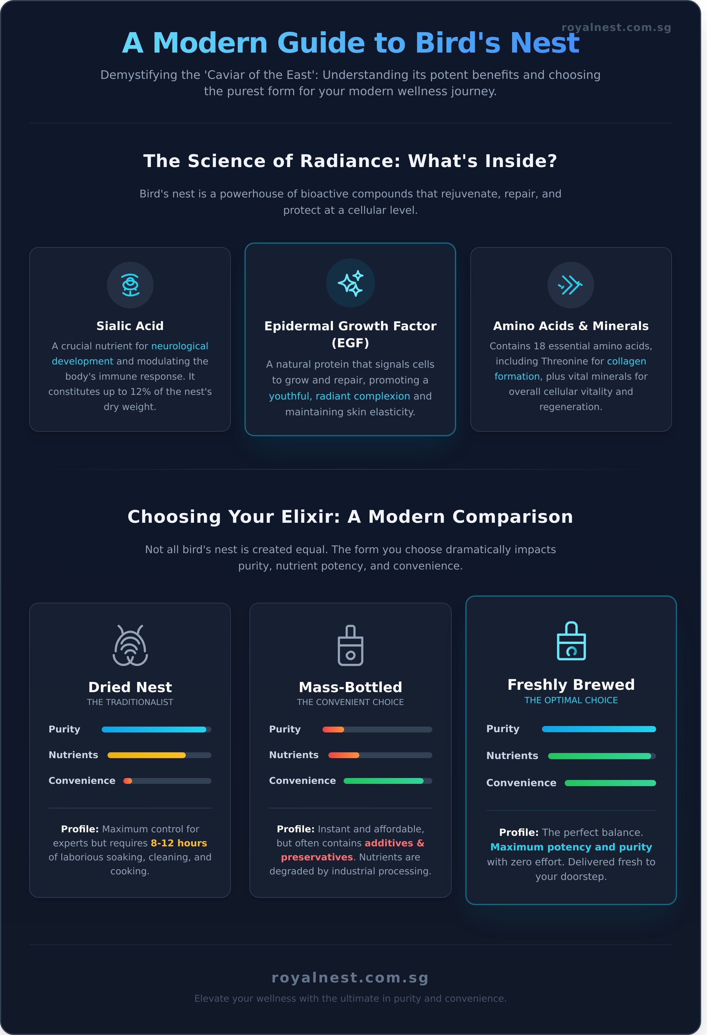 Birds nest infographic - visual guide