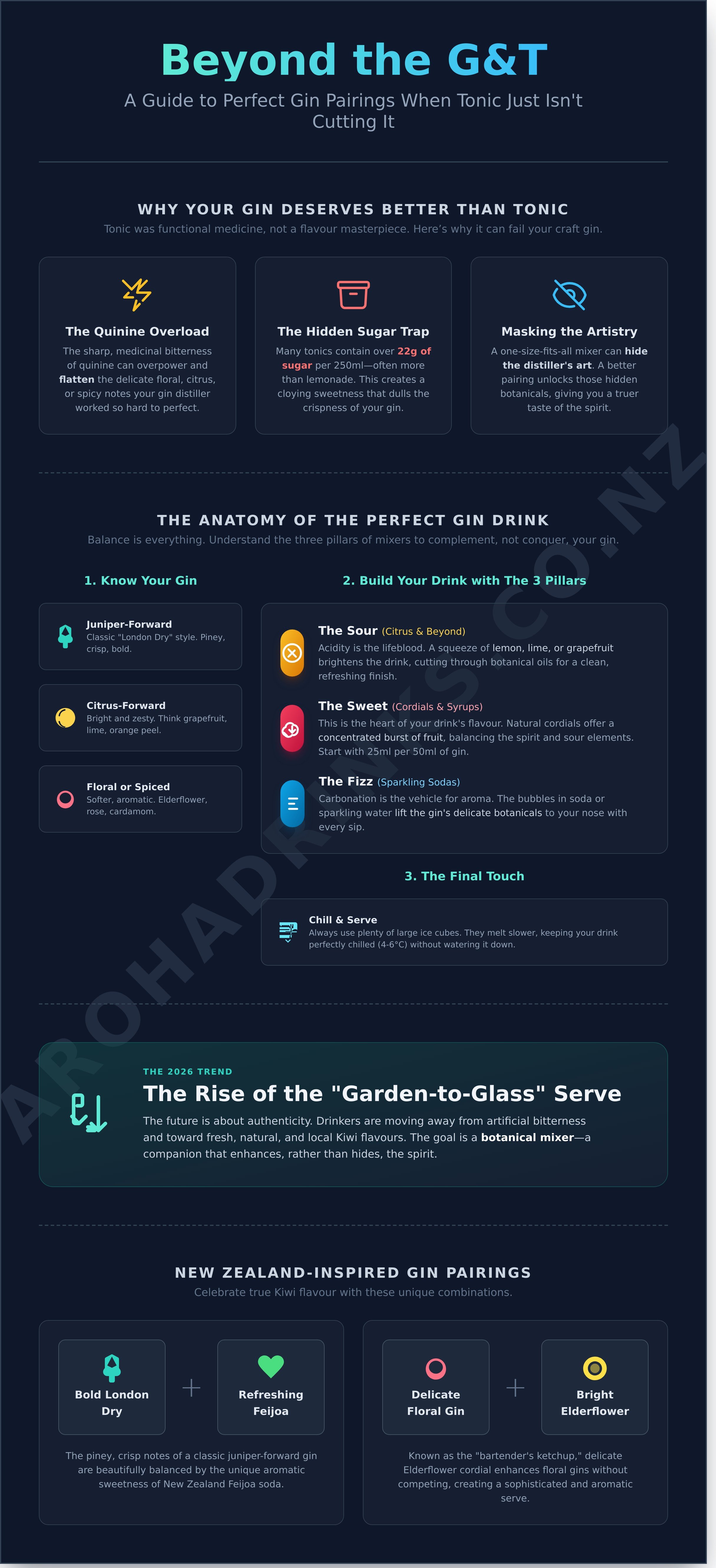 What to mix with gin besides tonic infographic - visual guide