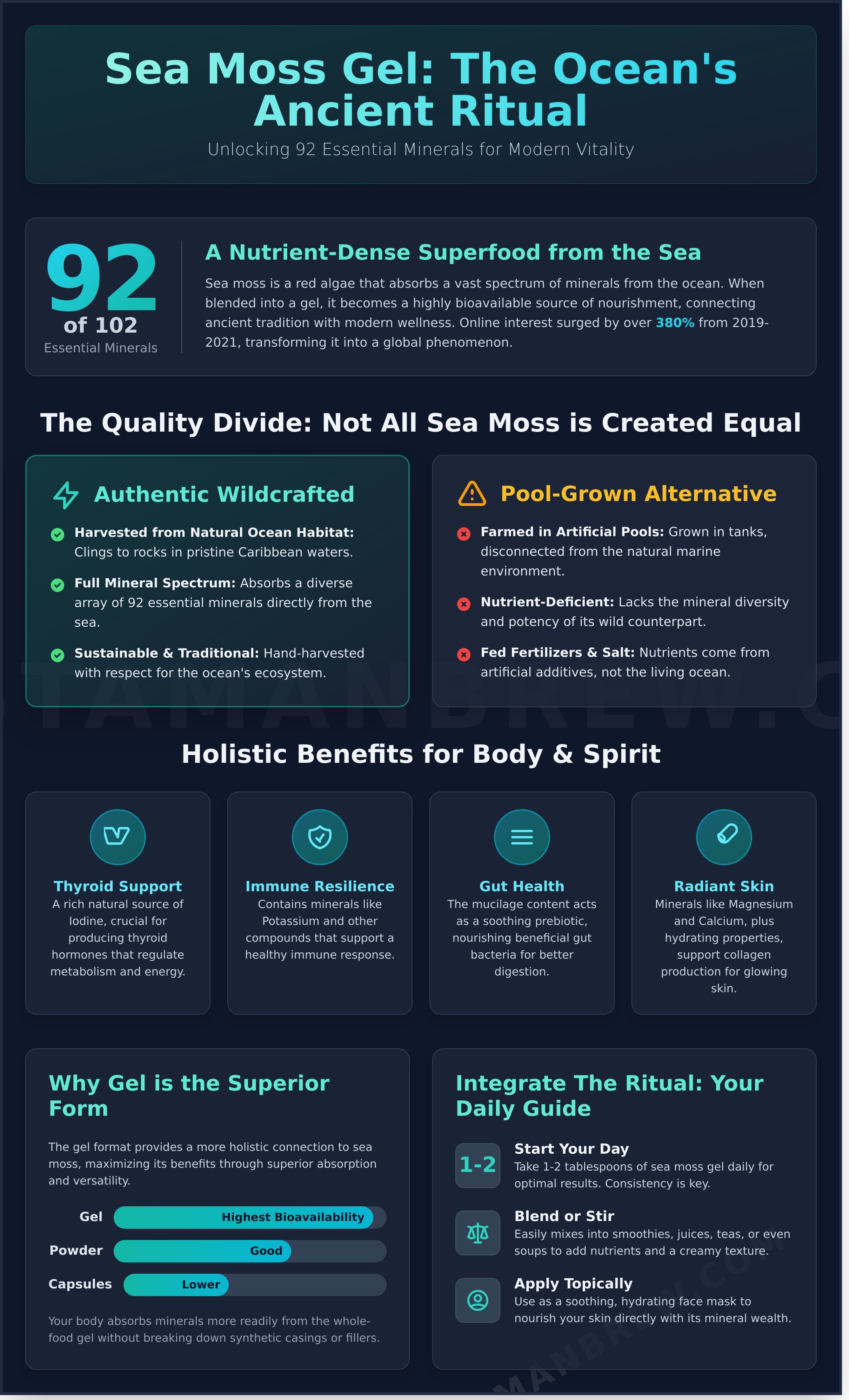 Sea moss gel