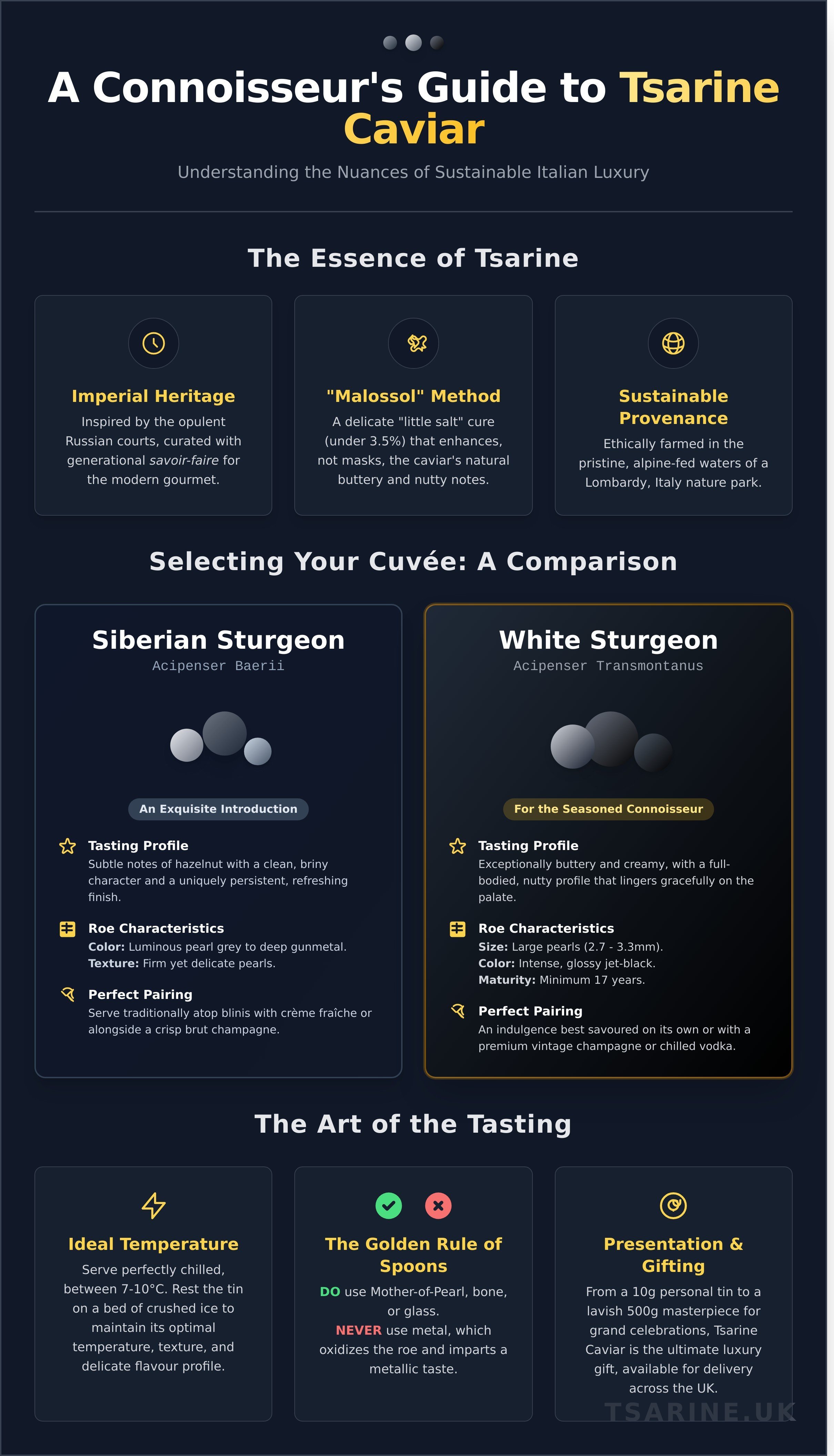 Tsarine caviar infographic - visual guide