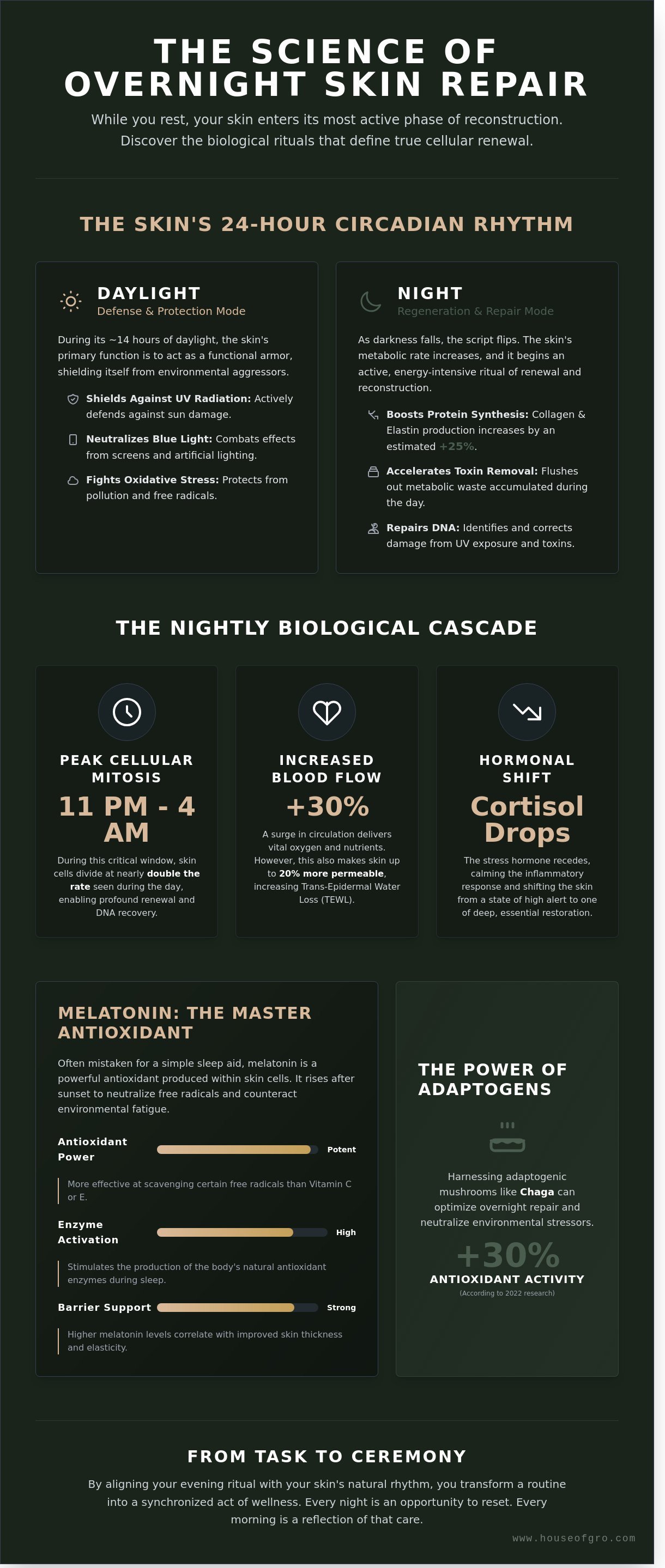 Overnight skin repair infographic - visual guide