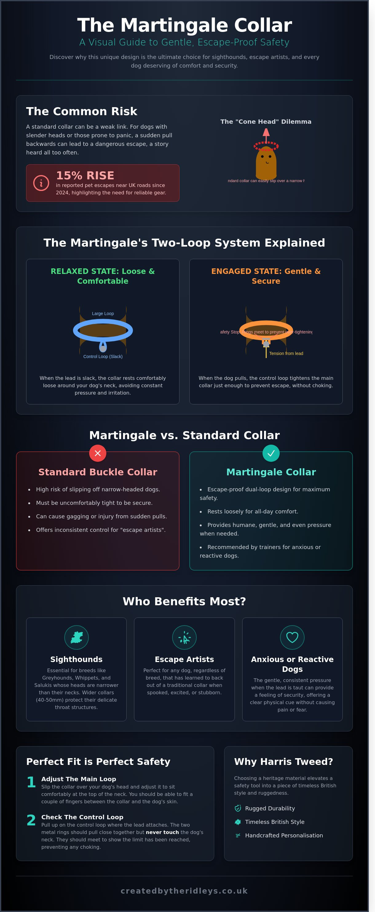 Martingale collar infographic - visual guide