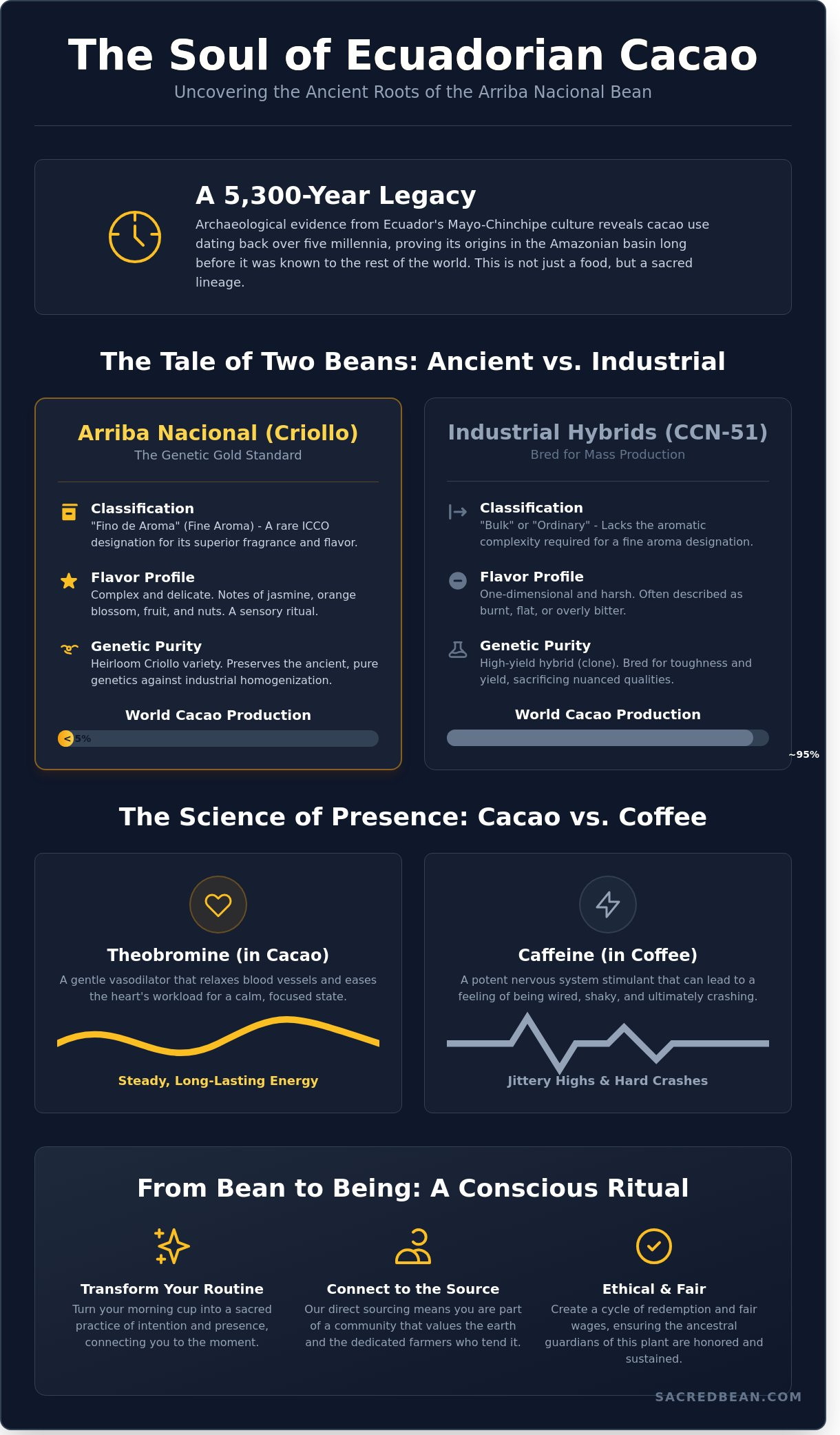 Ecuadorian cacao infographic - visual guide
