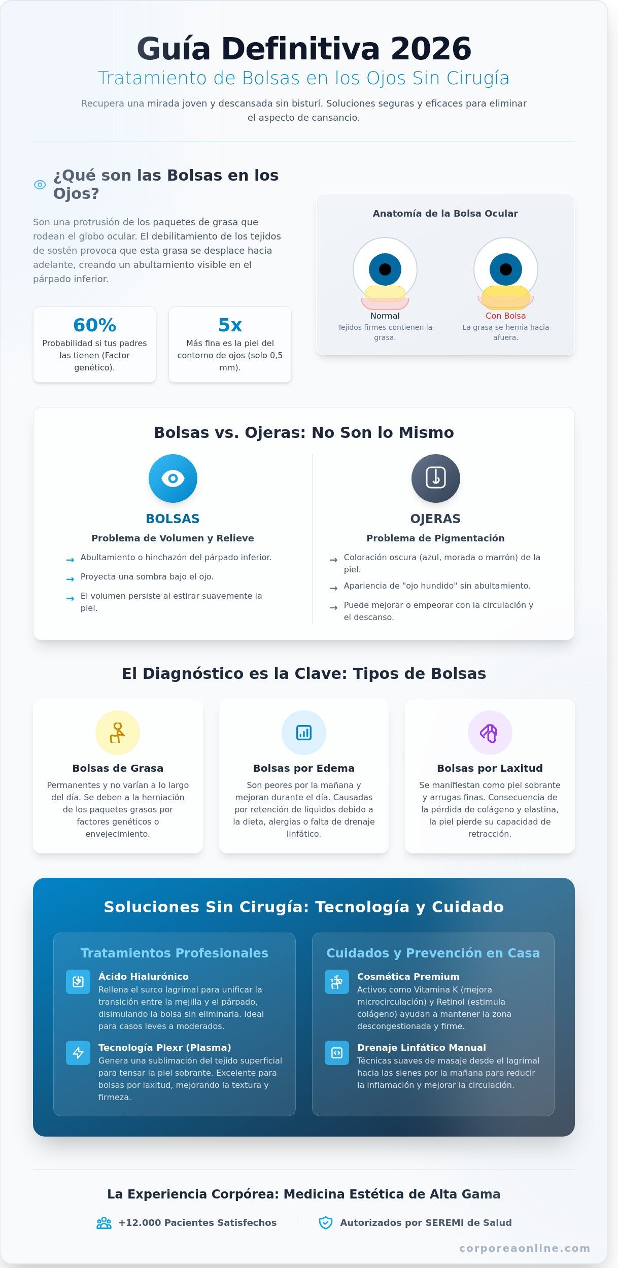 Tratamiento para bolsas en los ojos sin cirugía infographic - visual guide