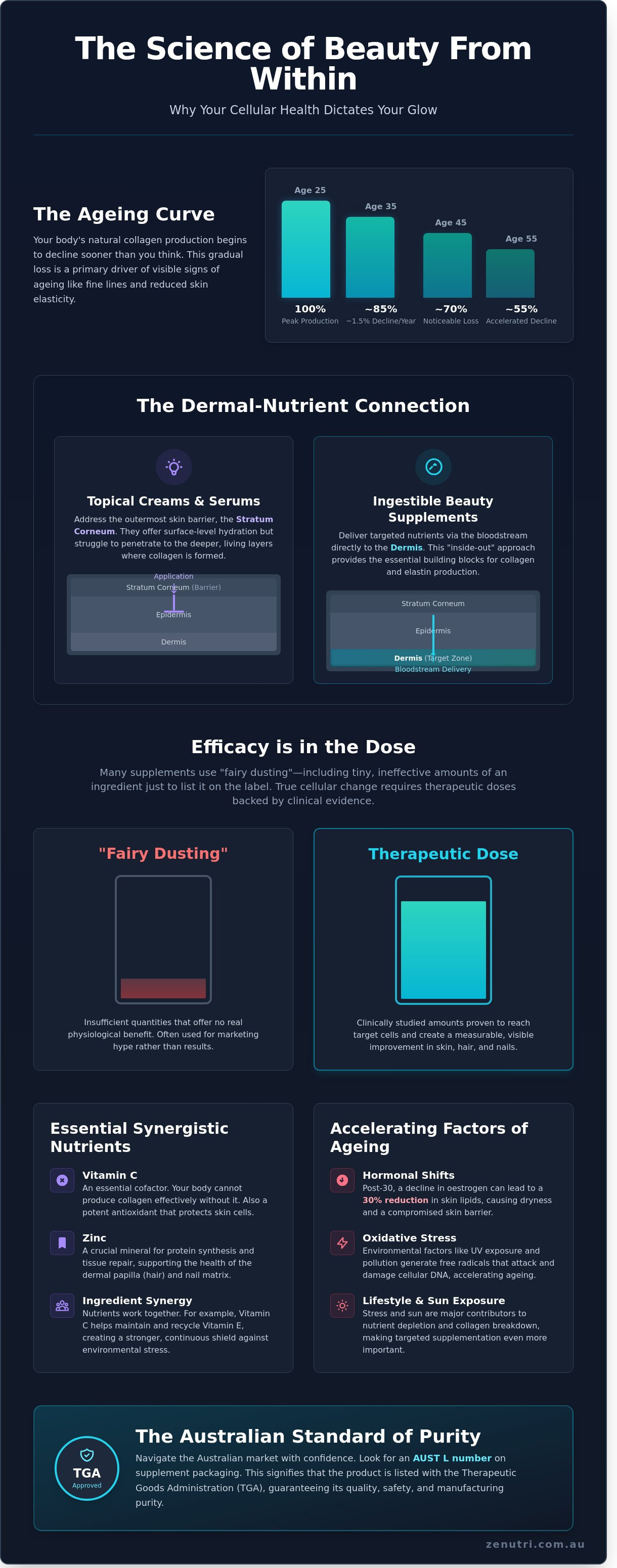Beauty supplements infographic - visual guide