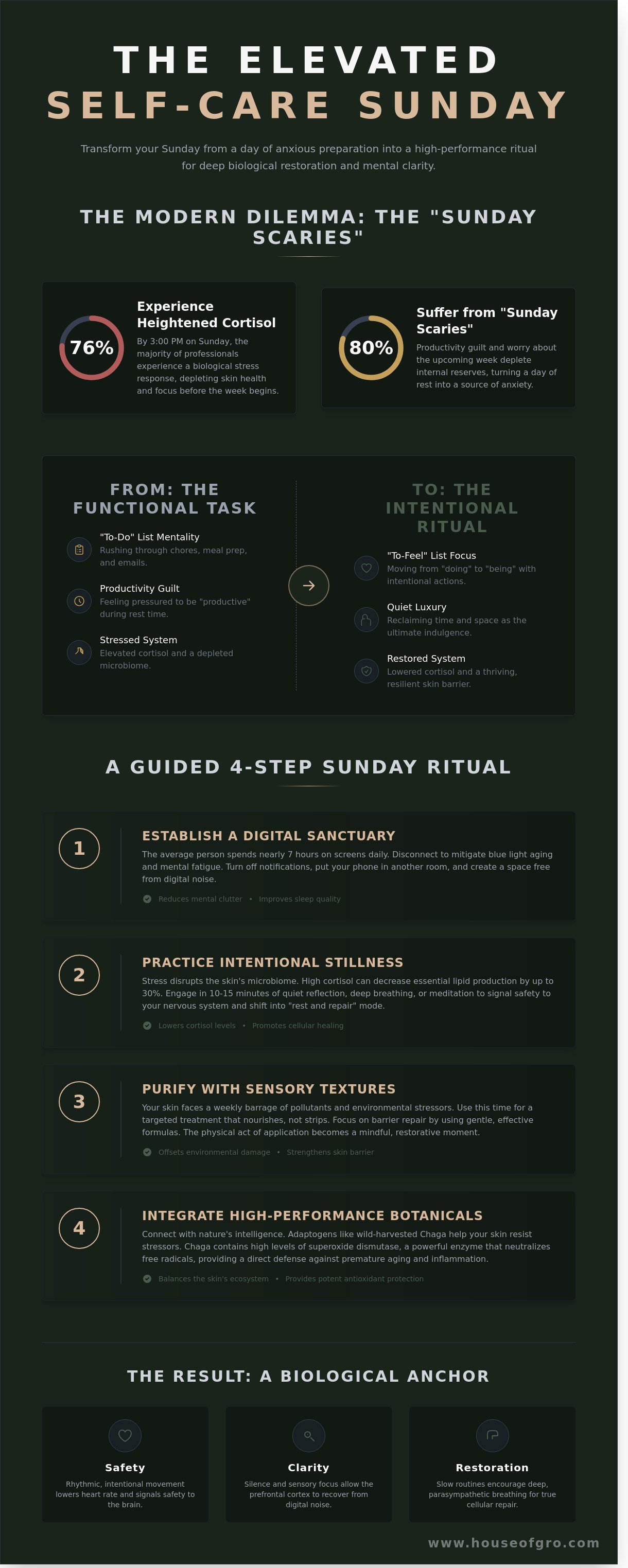 Self-care sunday ideas infographic - visual guide