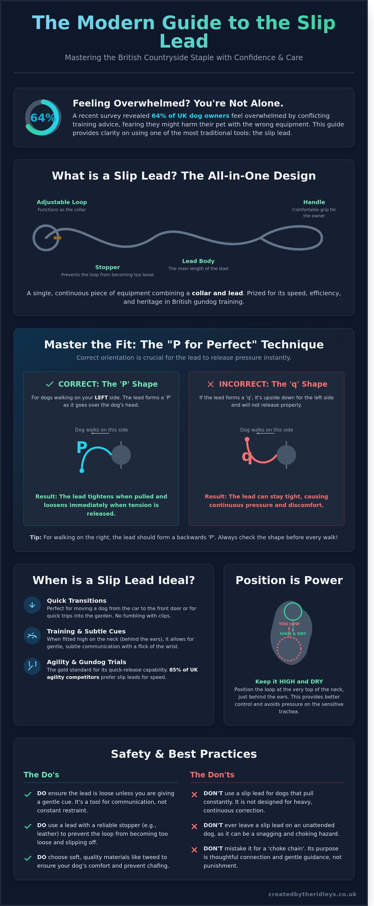Slip lead infographic - visual guide