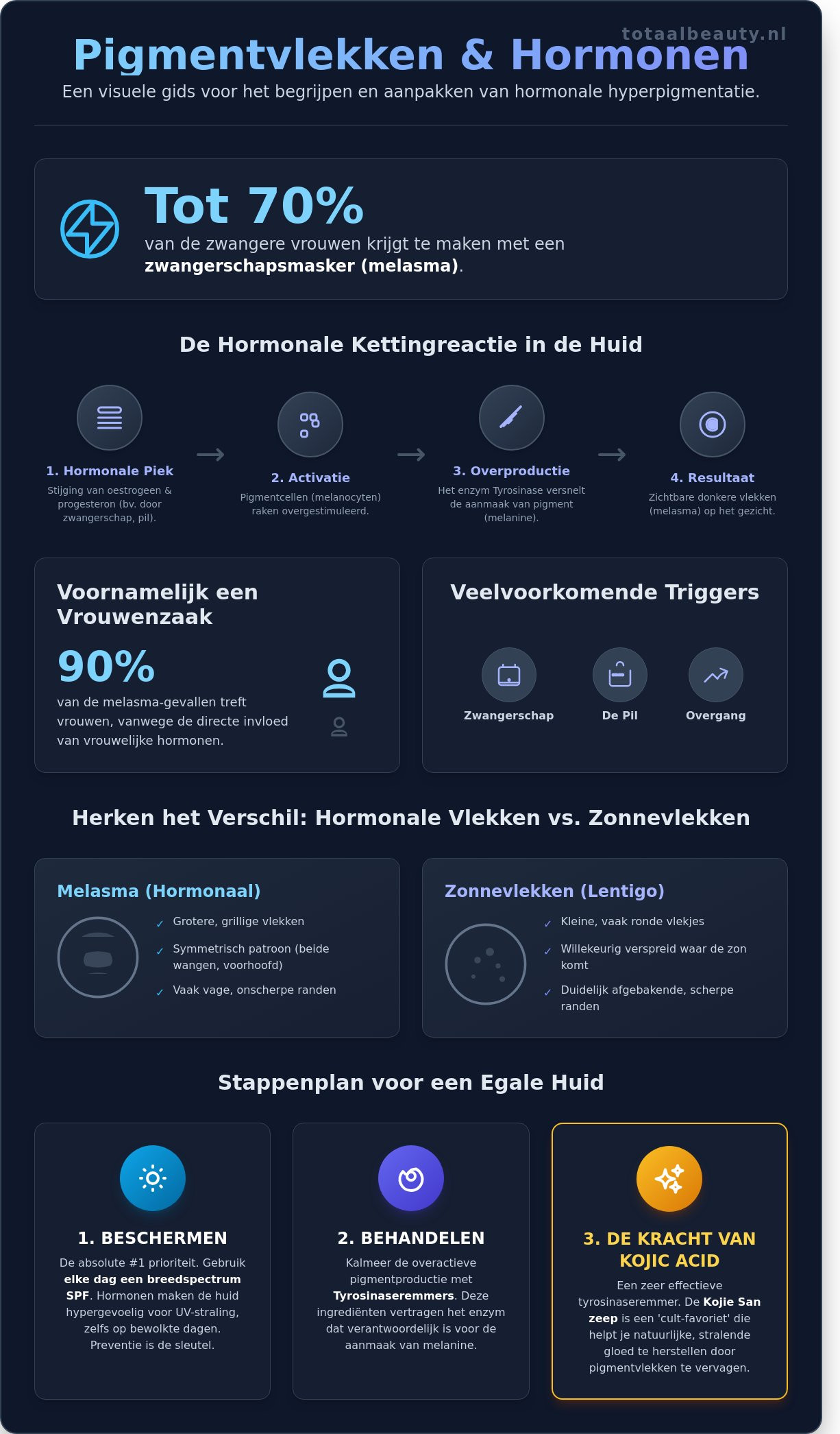 Pigmentvlekken en hormonen infographic - visual guide