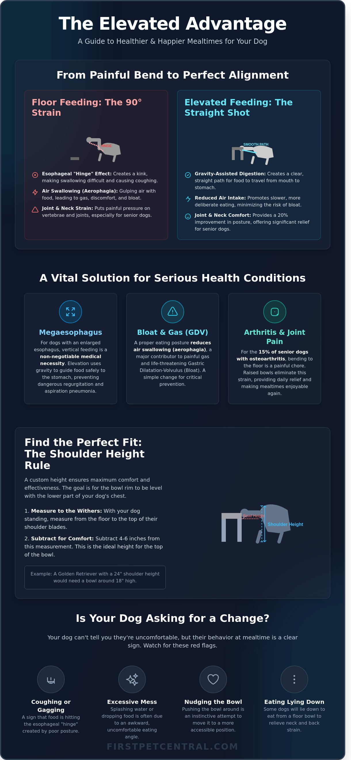 Elevated dog bowls for digestion infographic - visual guide