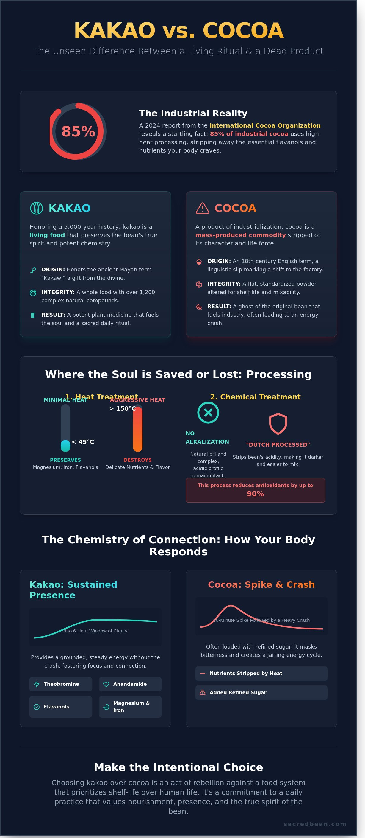 Kakao cocoa infographic - visual guide