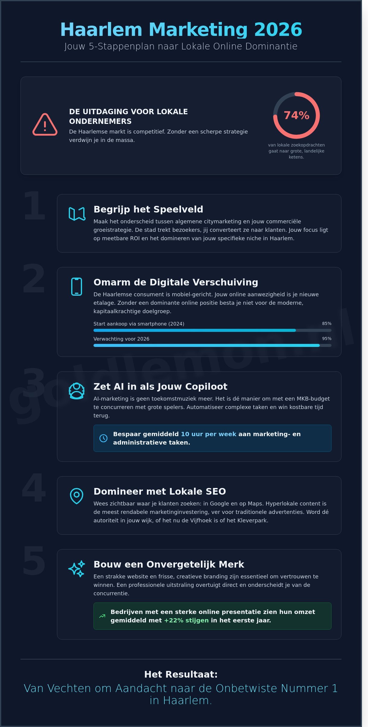 Haarlem marketing infographic - visual guide