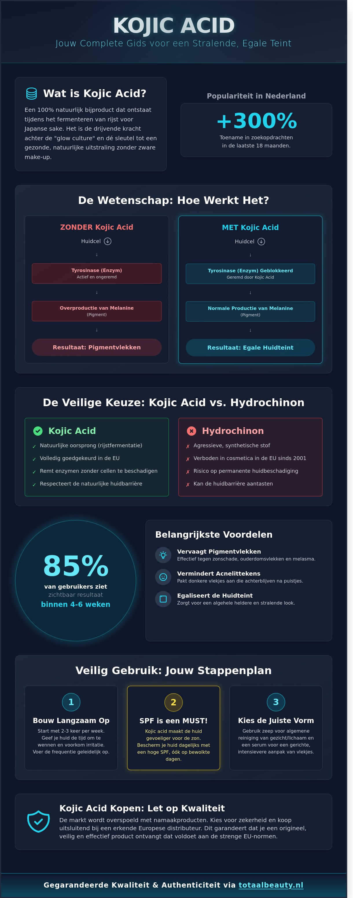 Kojic acid nederland infographic - visual guide