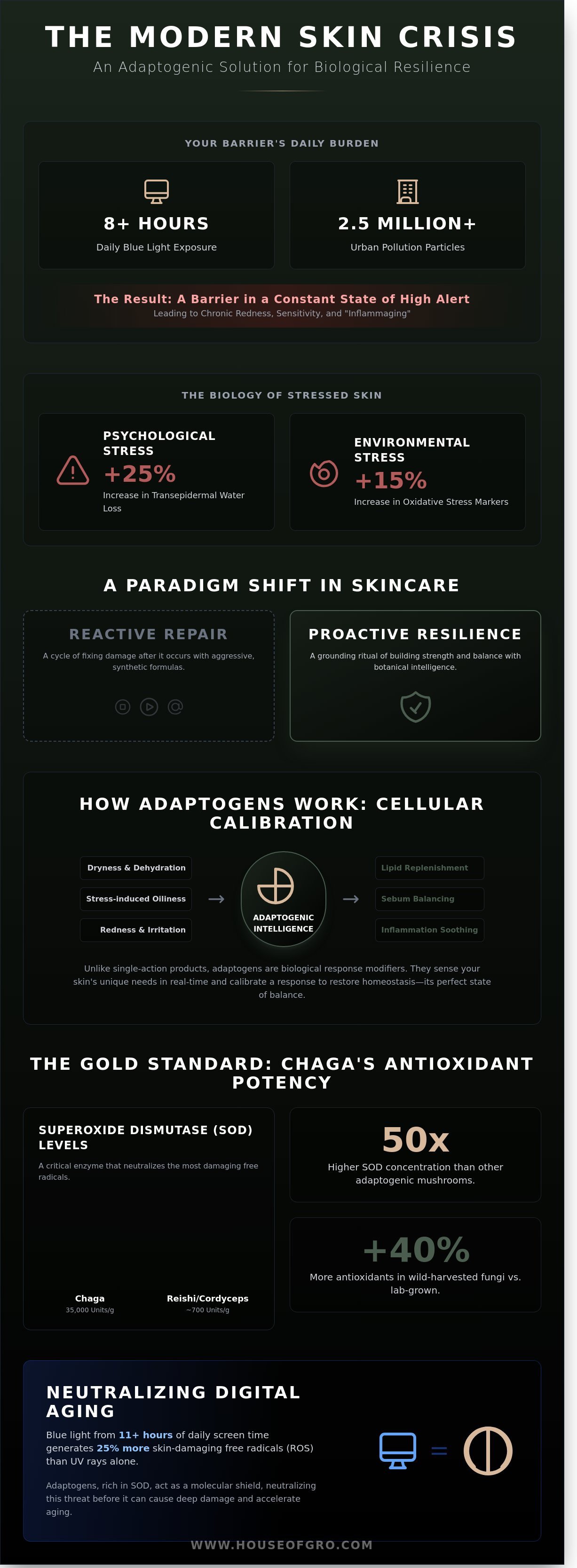 Adaptogenic face oil infographic - visual guide