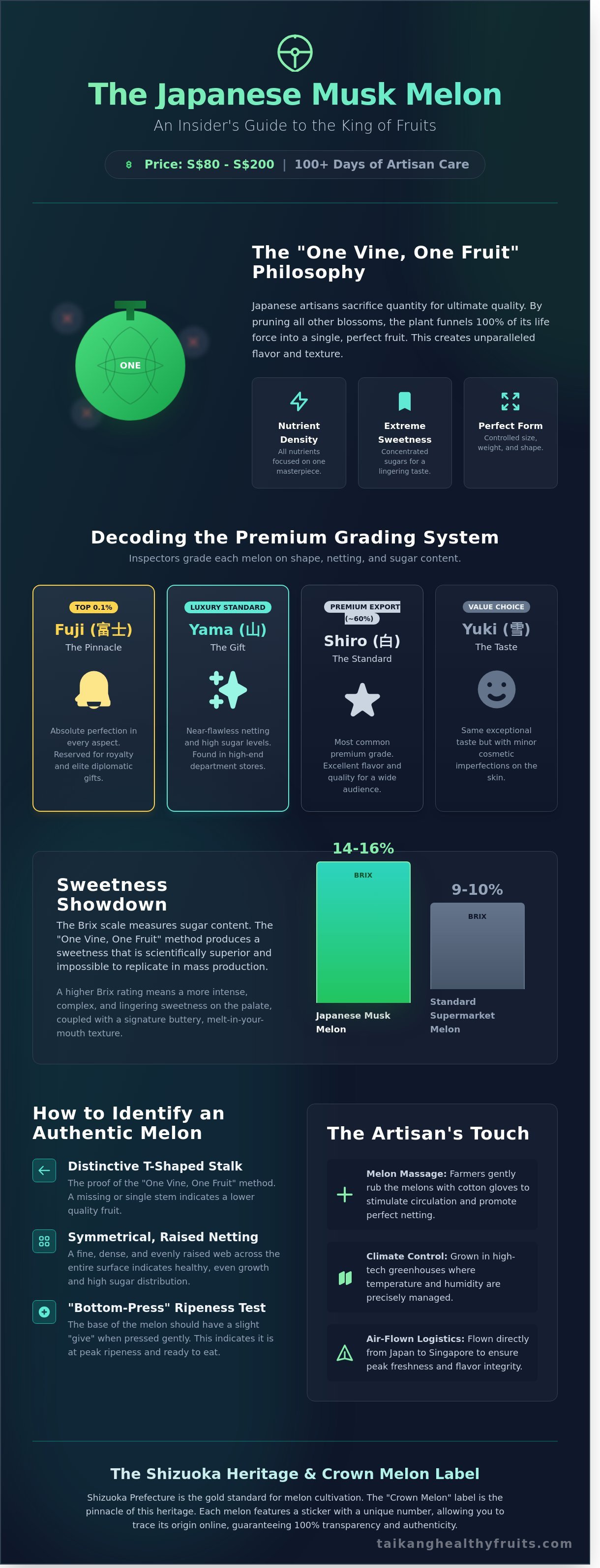 Japanese musk melon infographic - visual guide