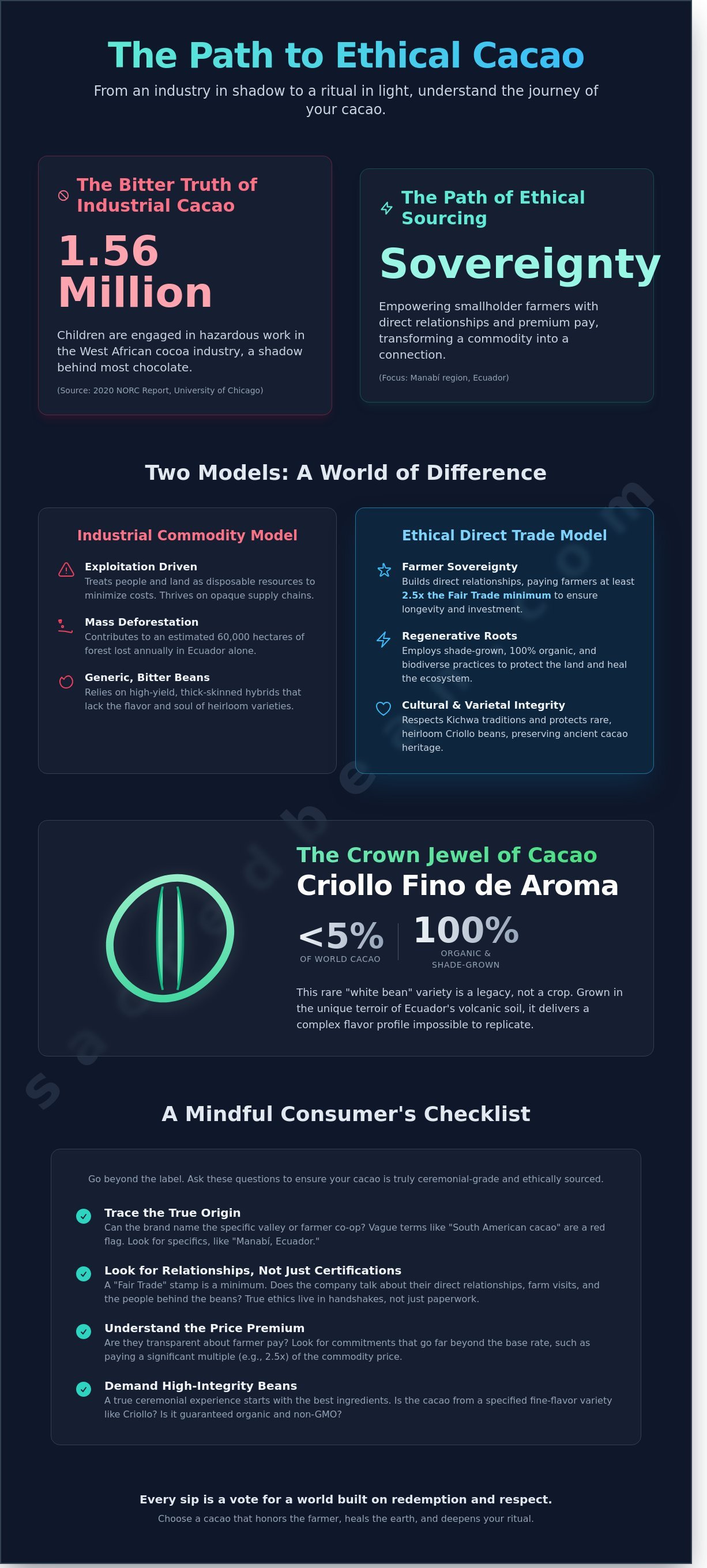 Ethical cacao sourcing infographic - visual guide