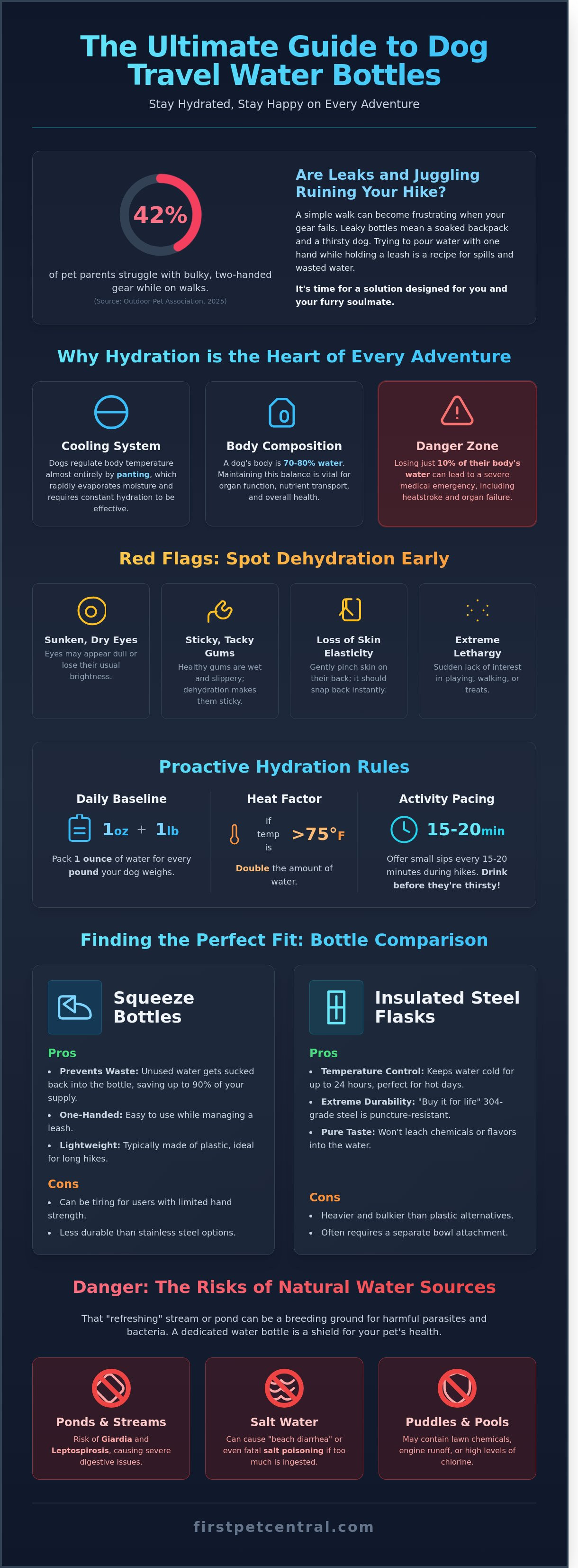 Dog travel water bottle infographic - visual guide