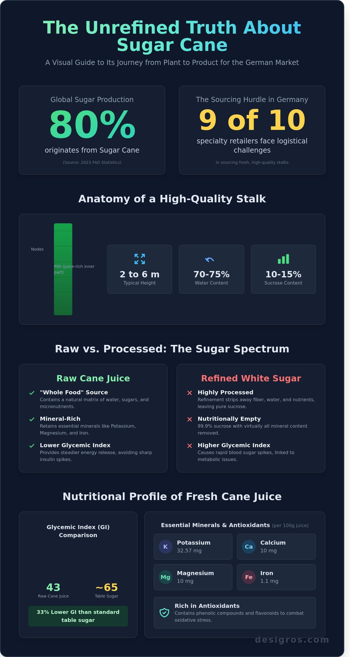Sugar cane infographic - visual guide