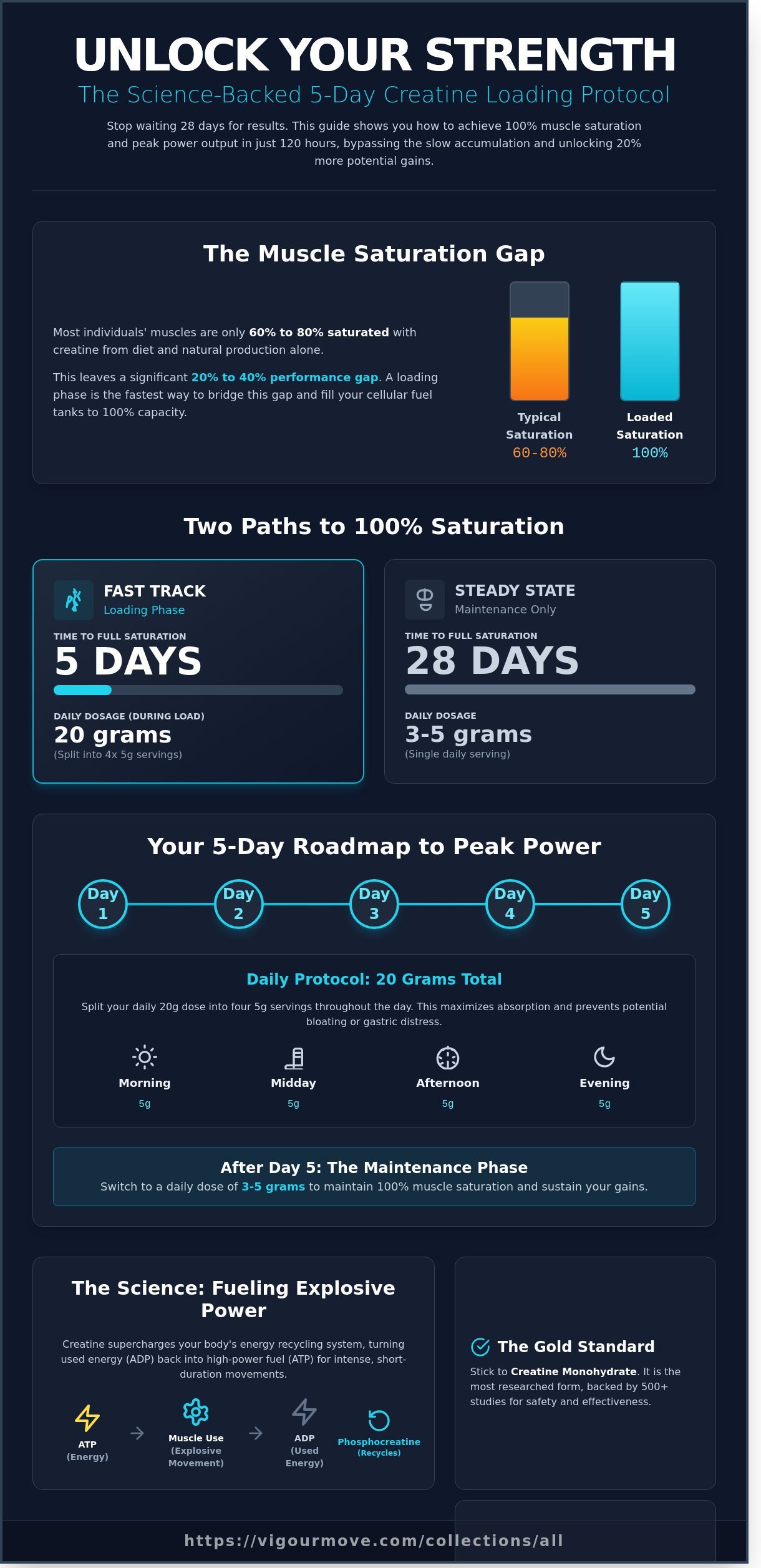 Creatine loading phase explained