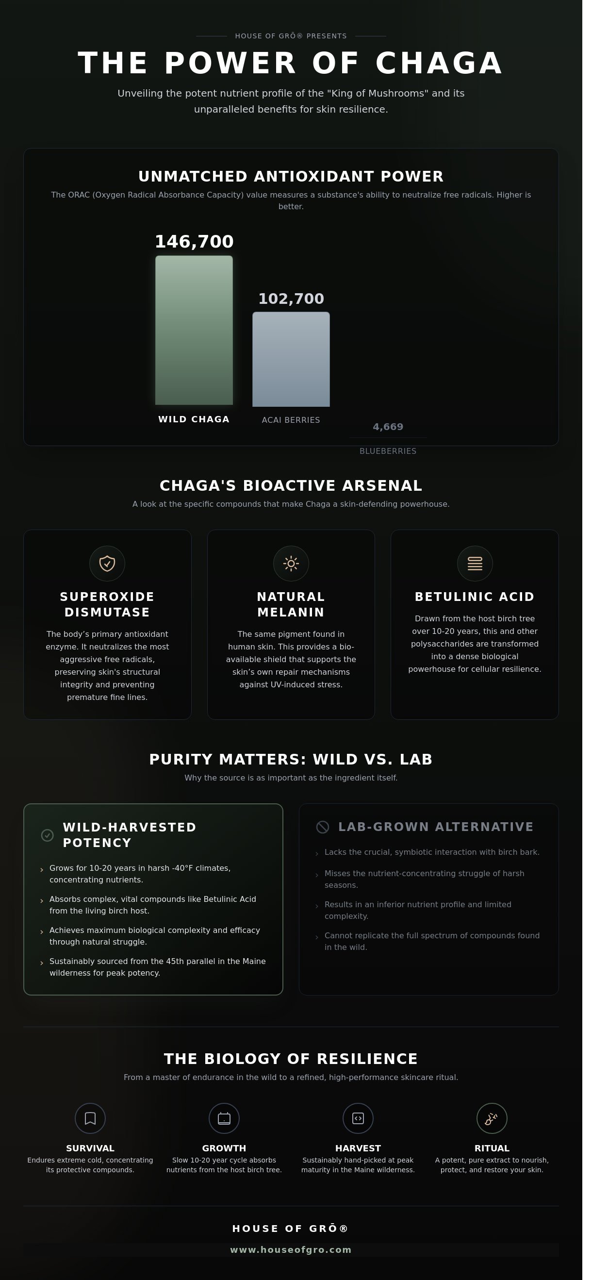 Chaga benifits
