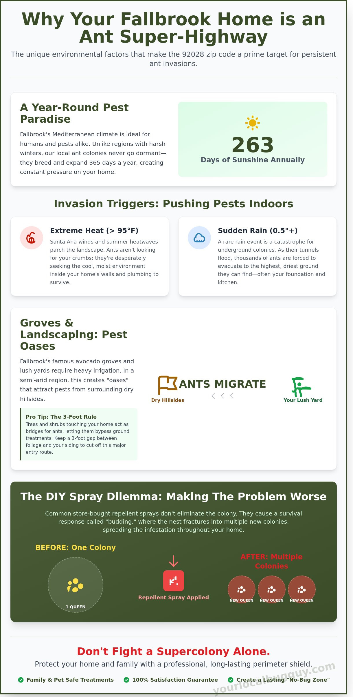 Ant exterminator Fallbrook