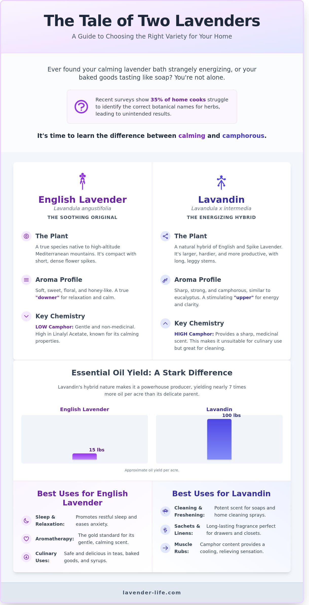 Lavender and lavender