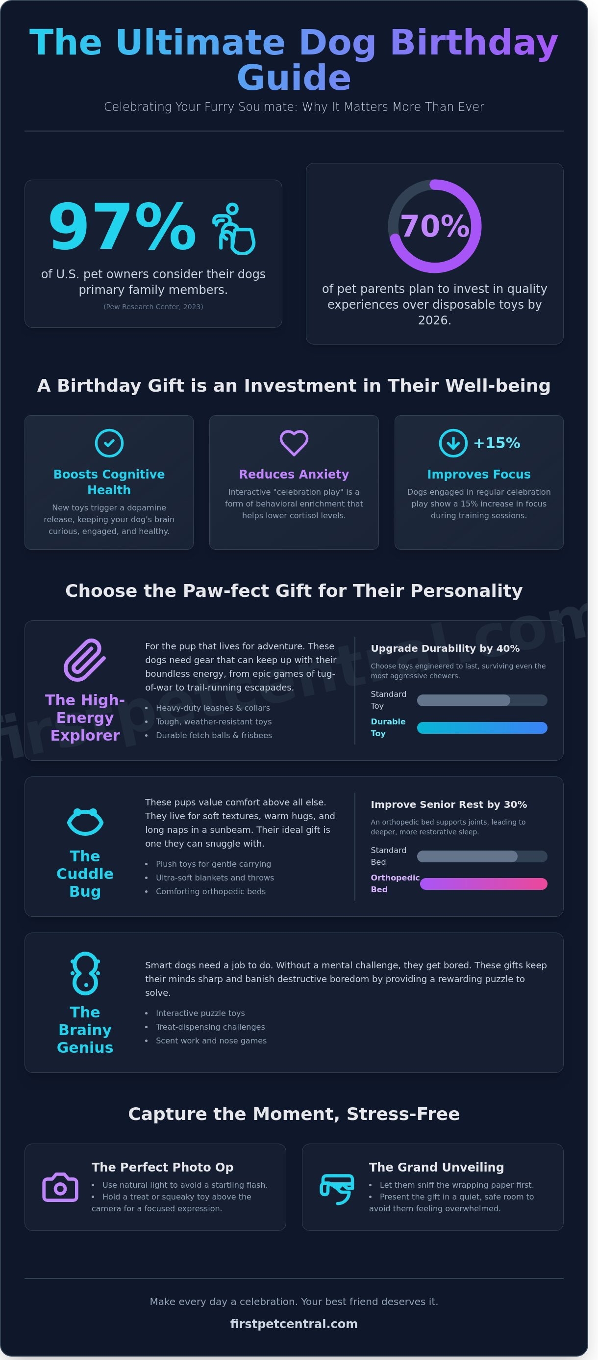 Dog birthday gift ideas