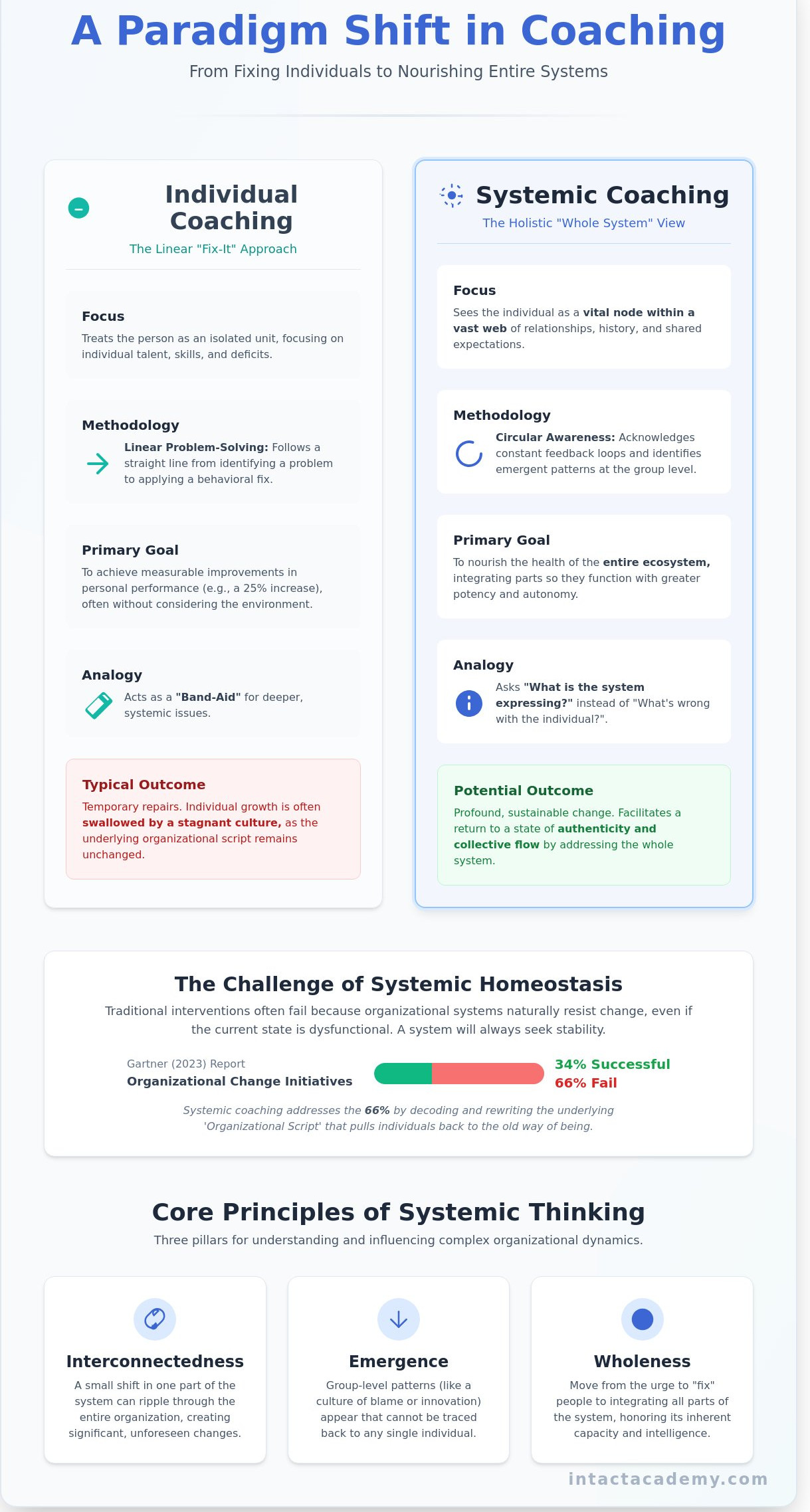 Systemic coaching