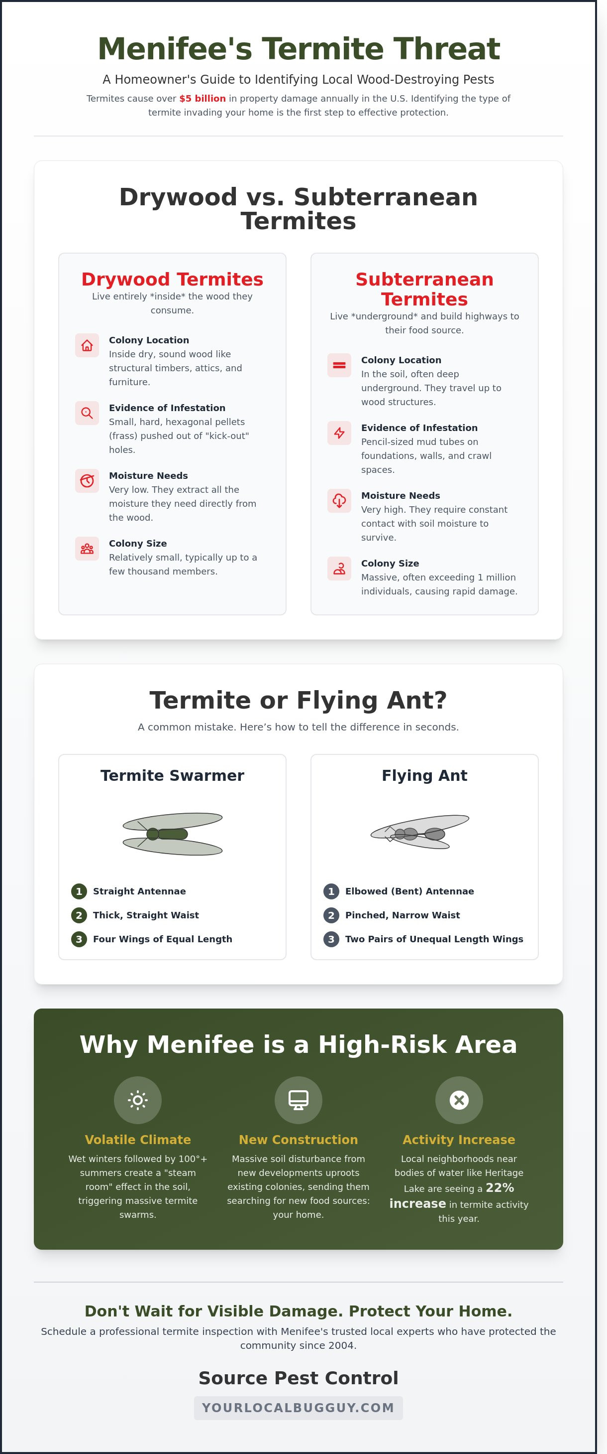 Termite inspection Menifee