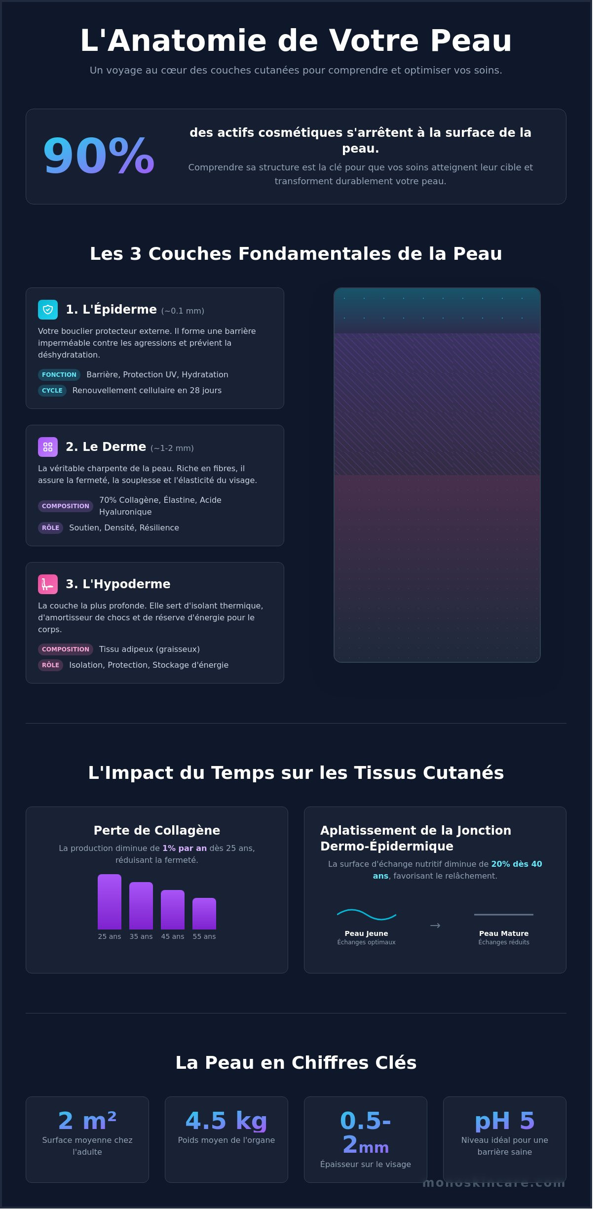Tissue layers
