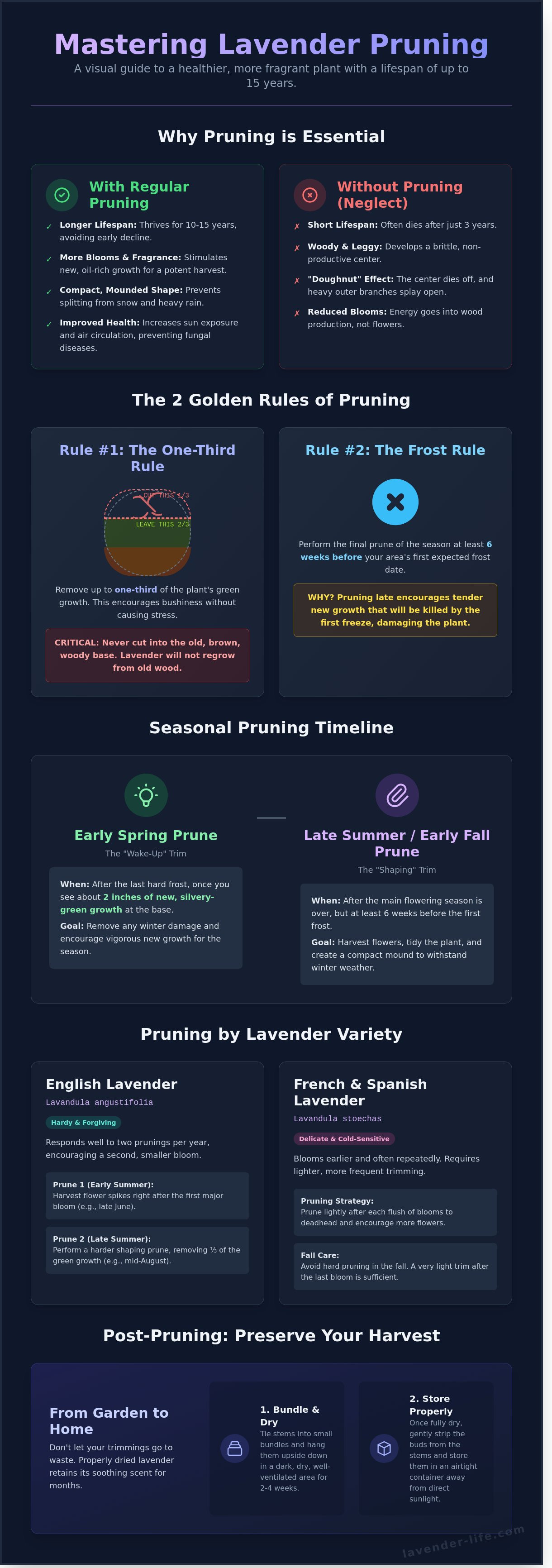 When to prune lavender