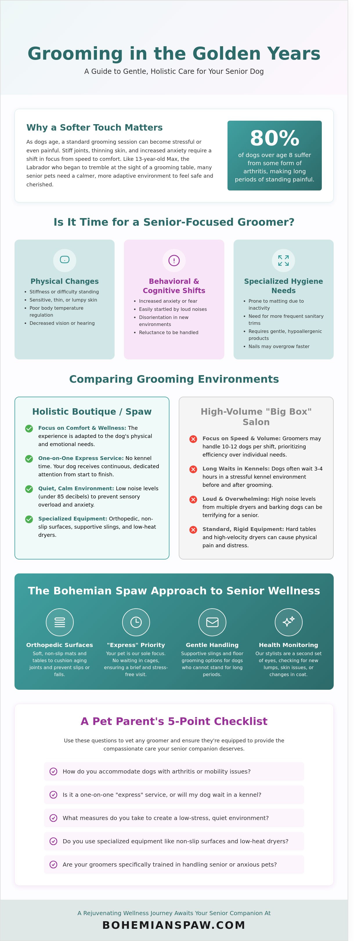 Senior dog groomers near me