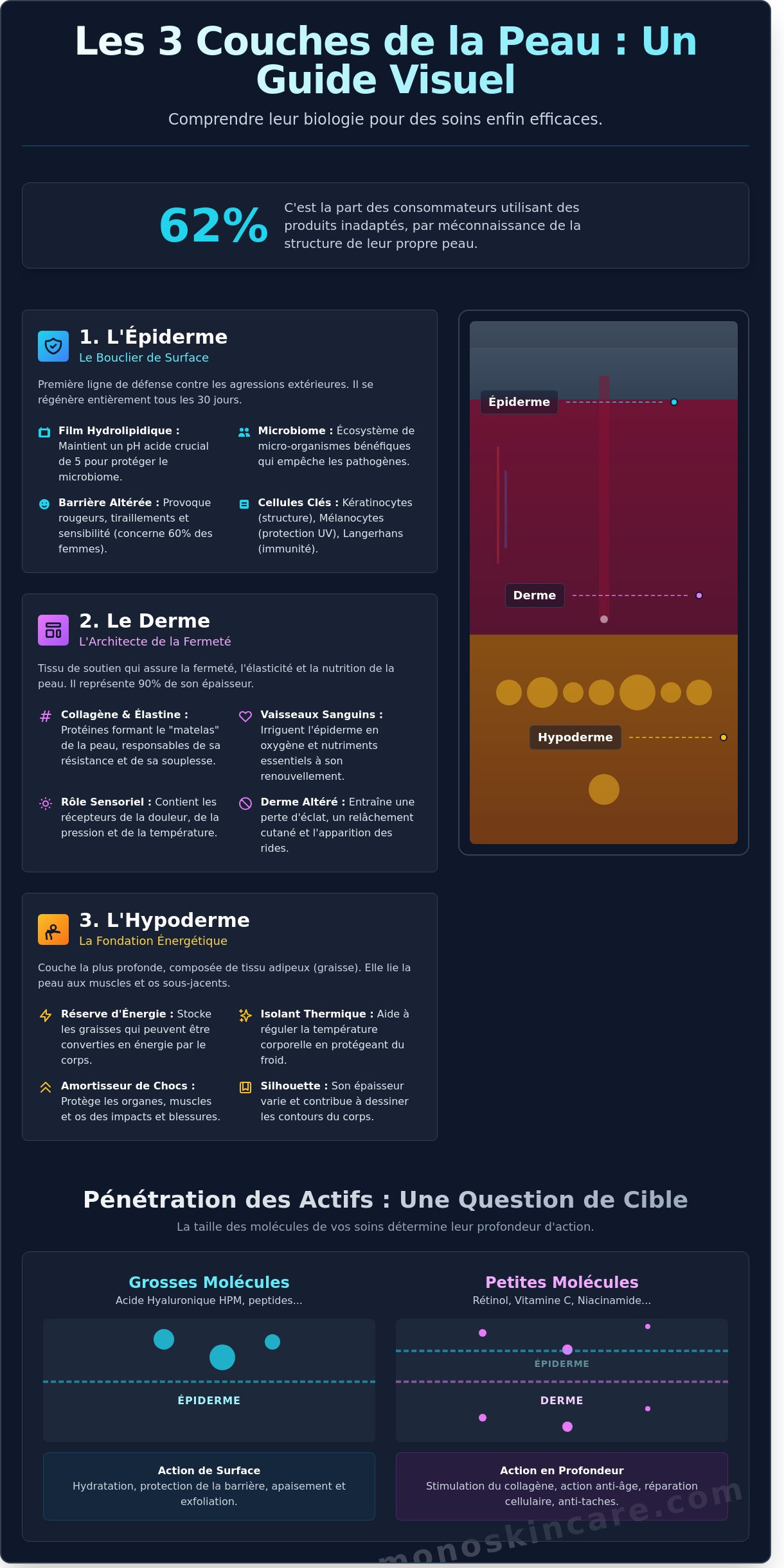 What are the 3 layers of skin