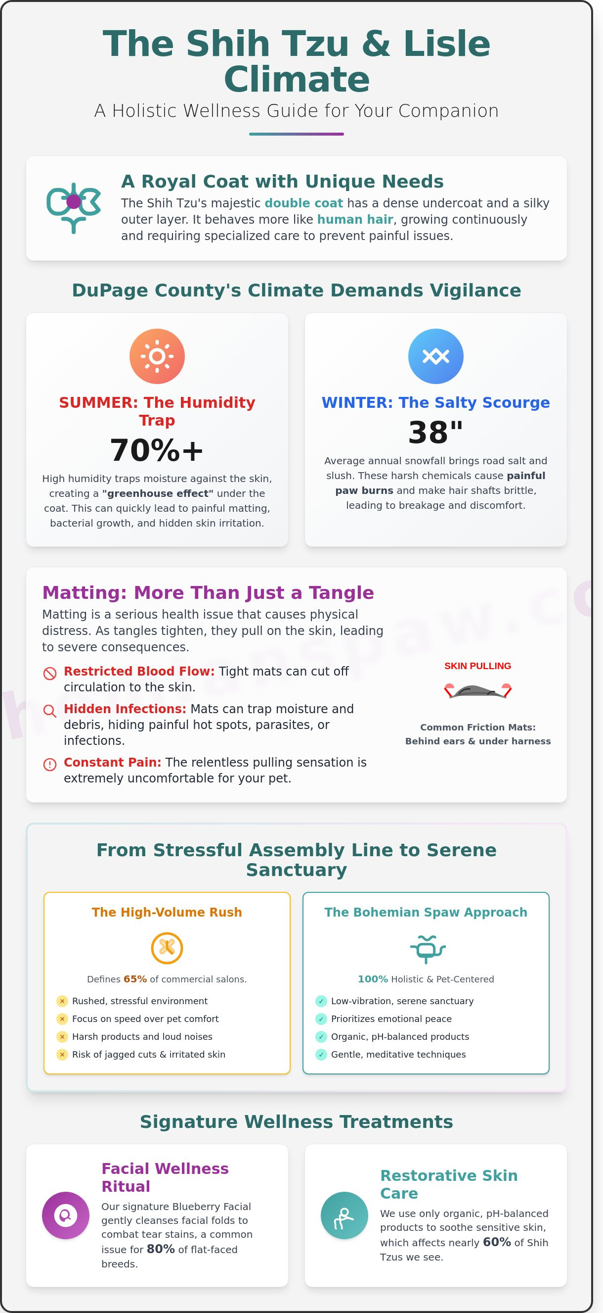 Shih tzu groomer lisle