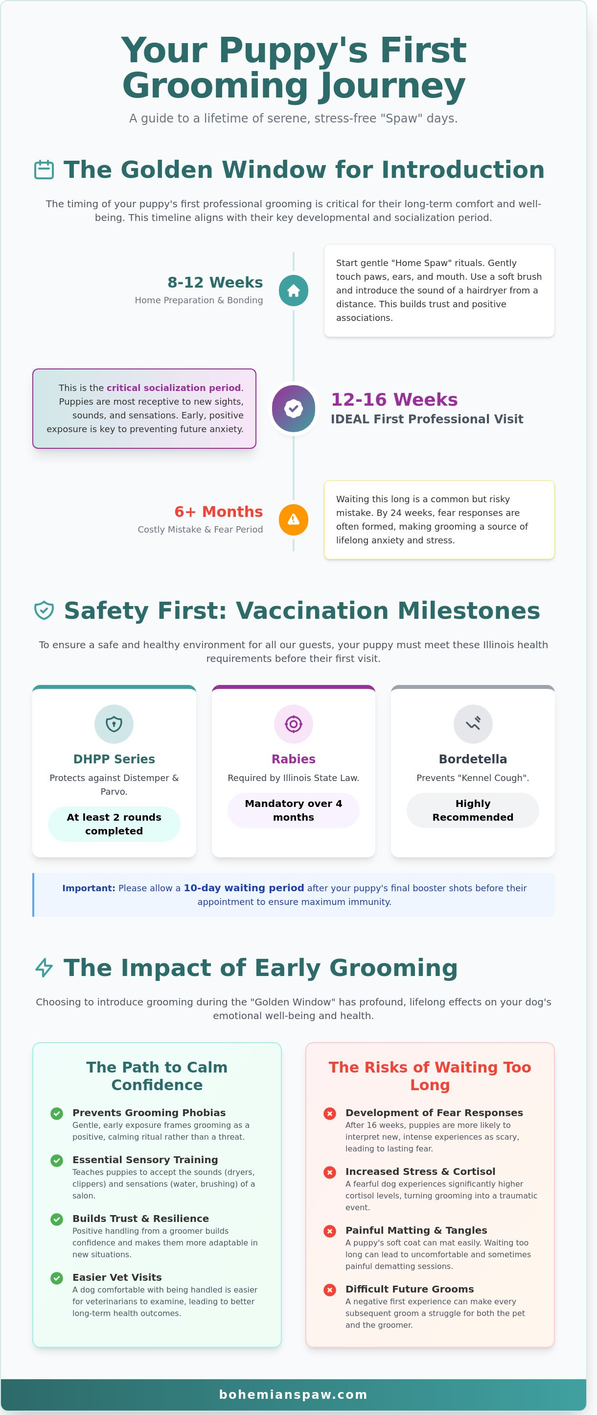 When can a puppy get groomed