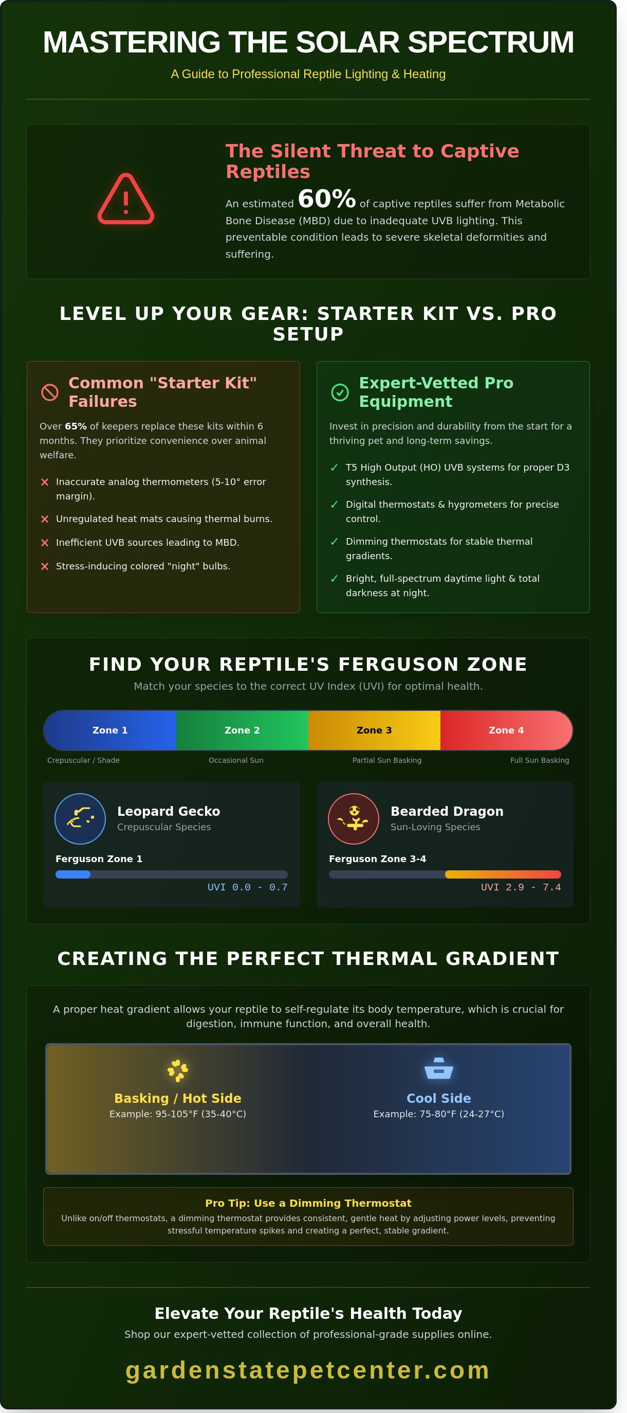 Premium reptile supplies online