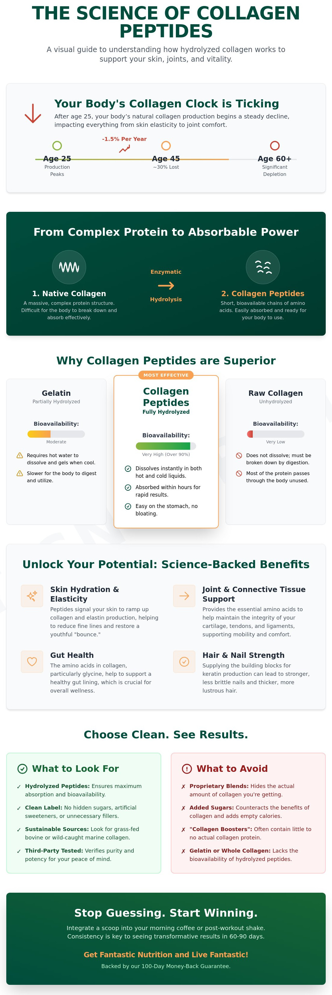 What are collagen peptides